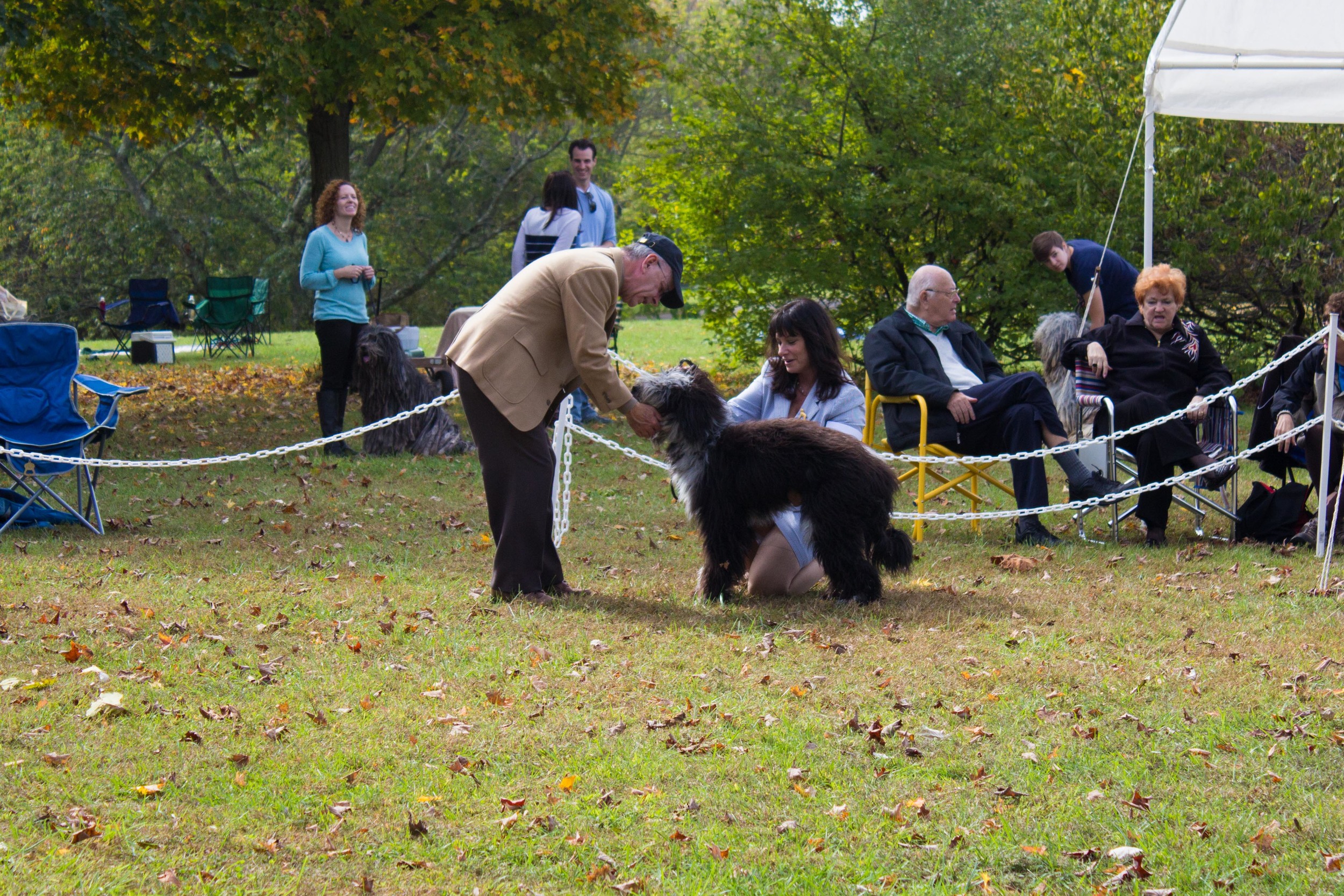 20131012 - DogShow-19.jpg