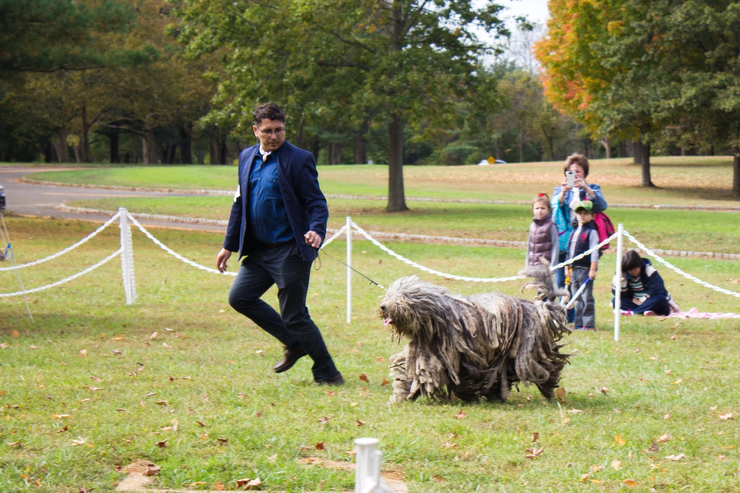 20131012 - DogShow-33.jpg