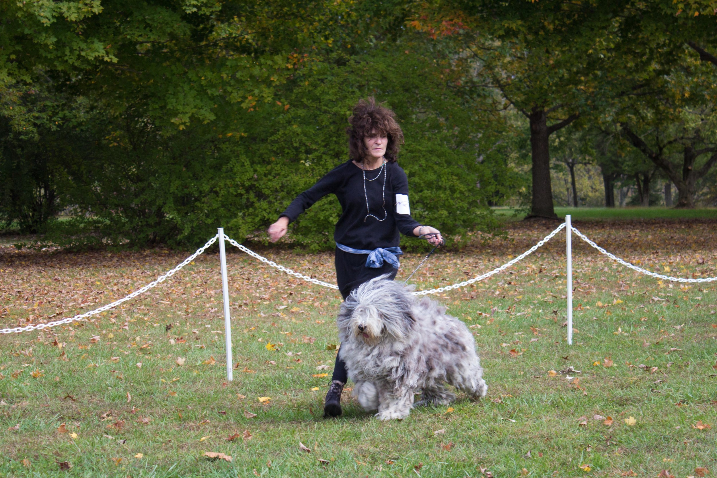 20131012 - DogShow-38.jpg