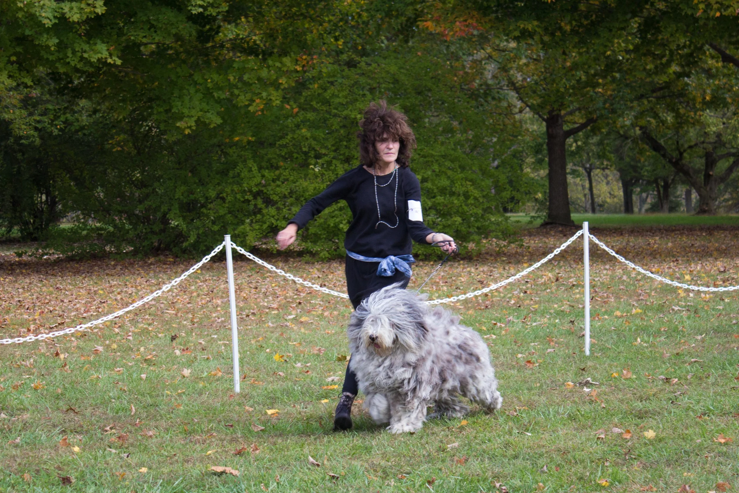 20131012 - DogShow-38.jpg
