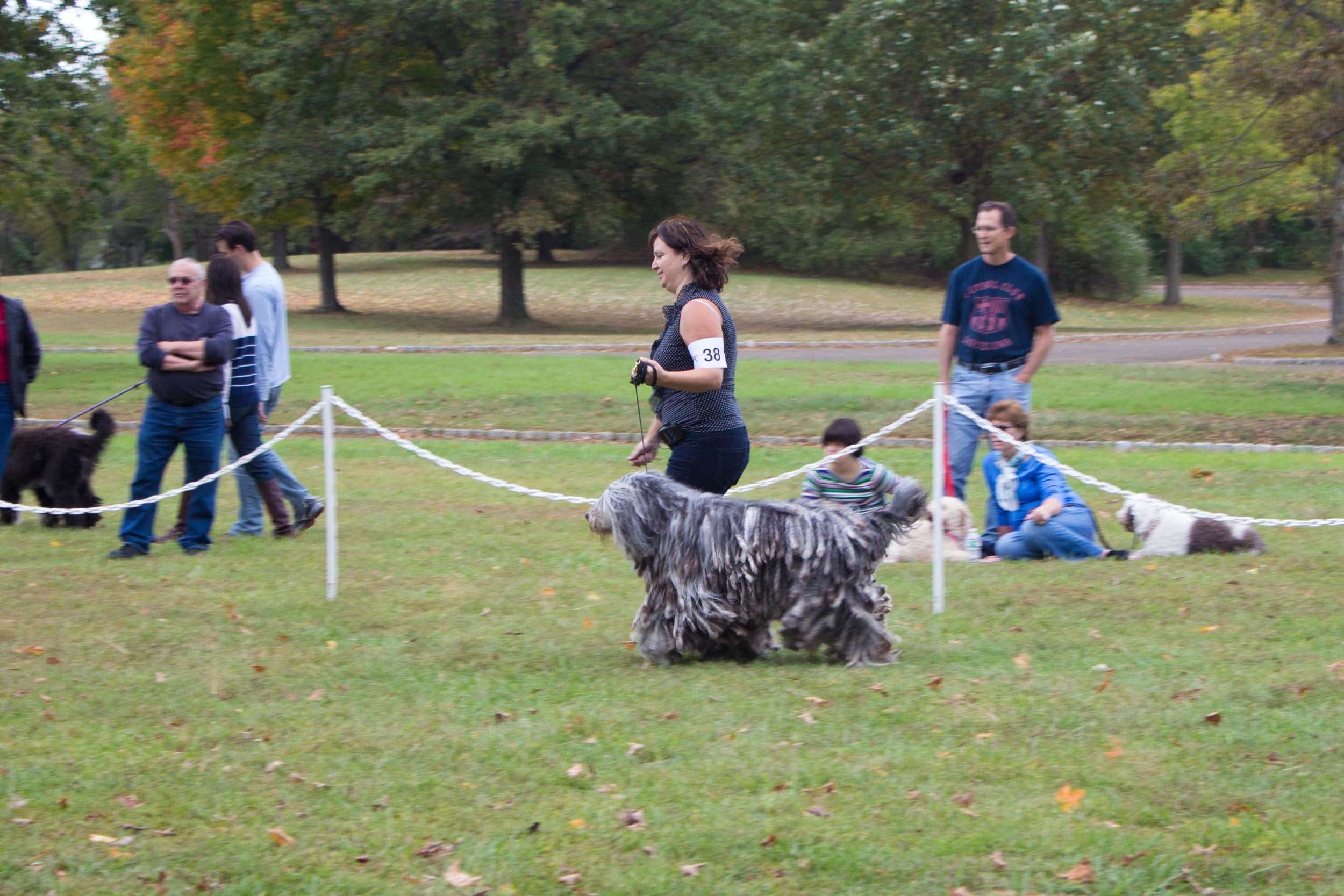 20131012 - DogShow-41.jpg