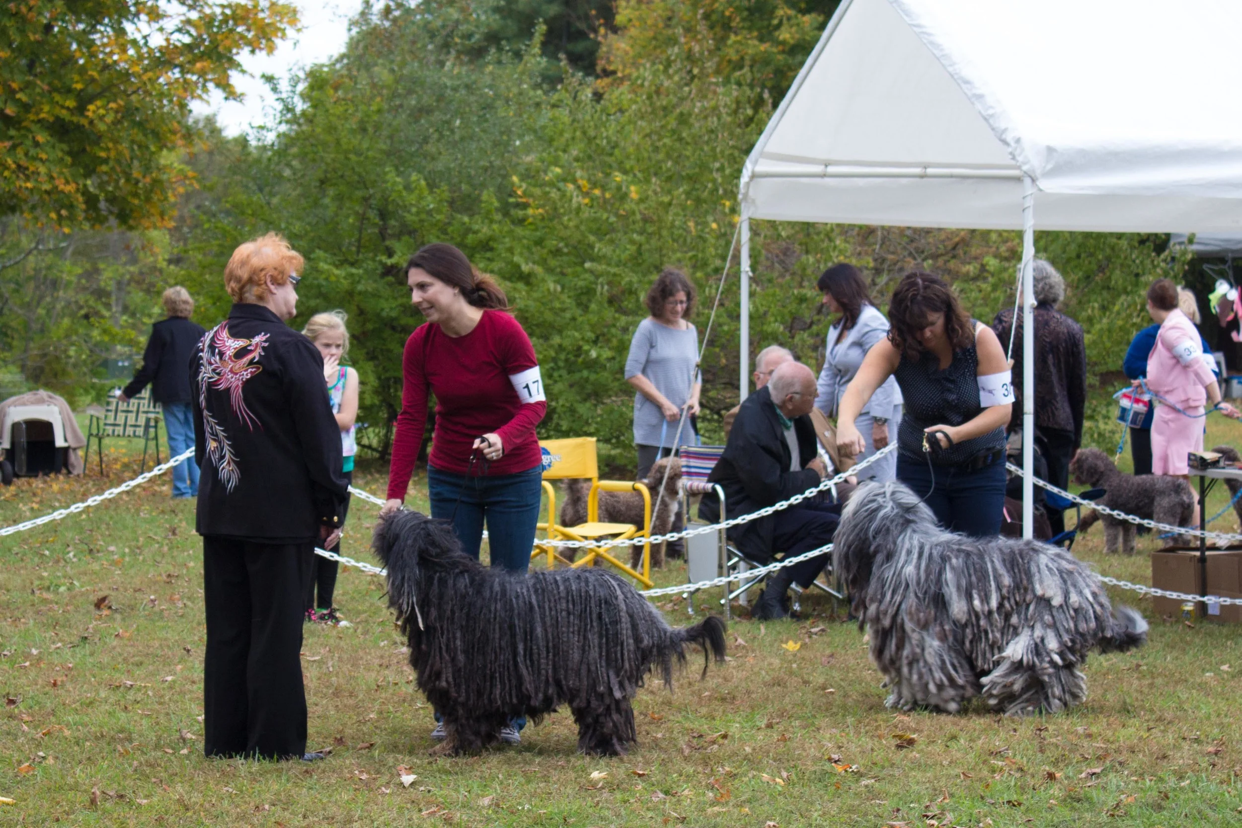 20131012 - DogShow-43.jpg