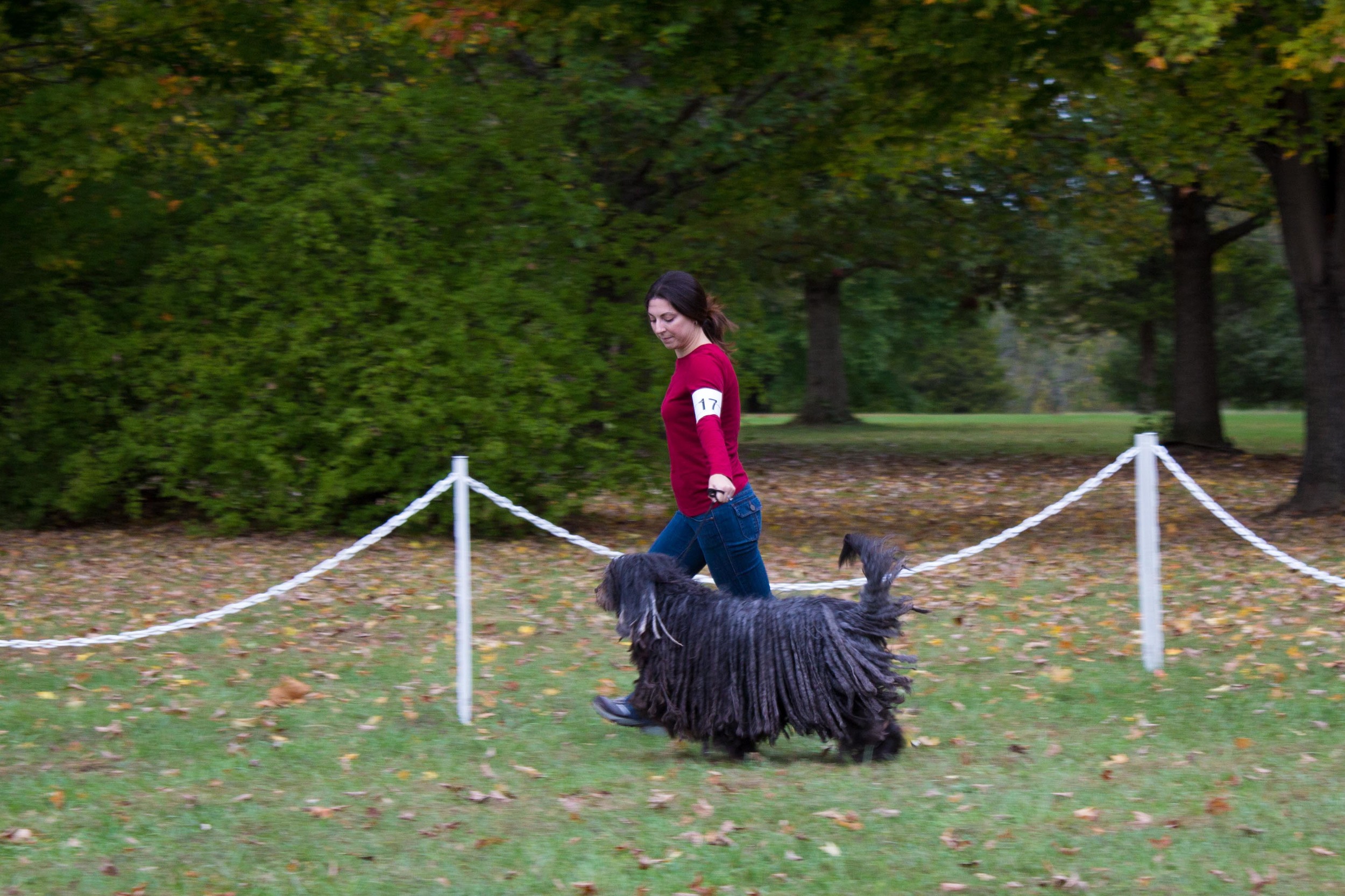 20131012 - DogShow-44.jpg