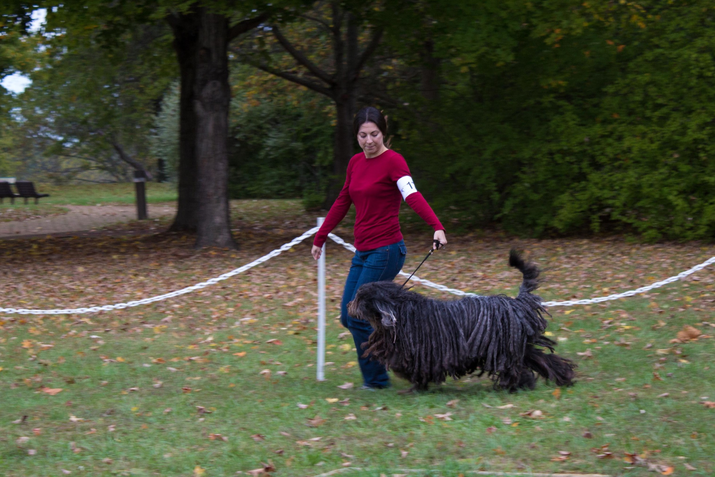 20131012 - DogShow-45.jpg