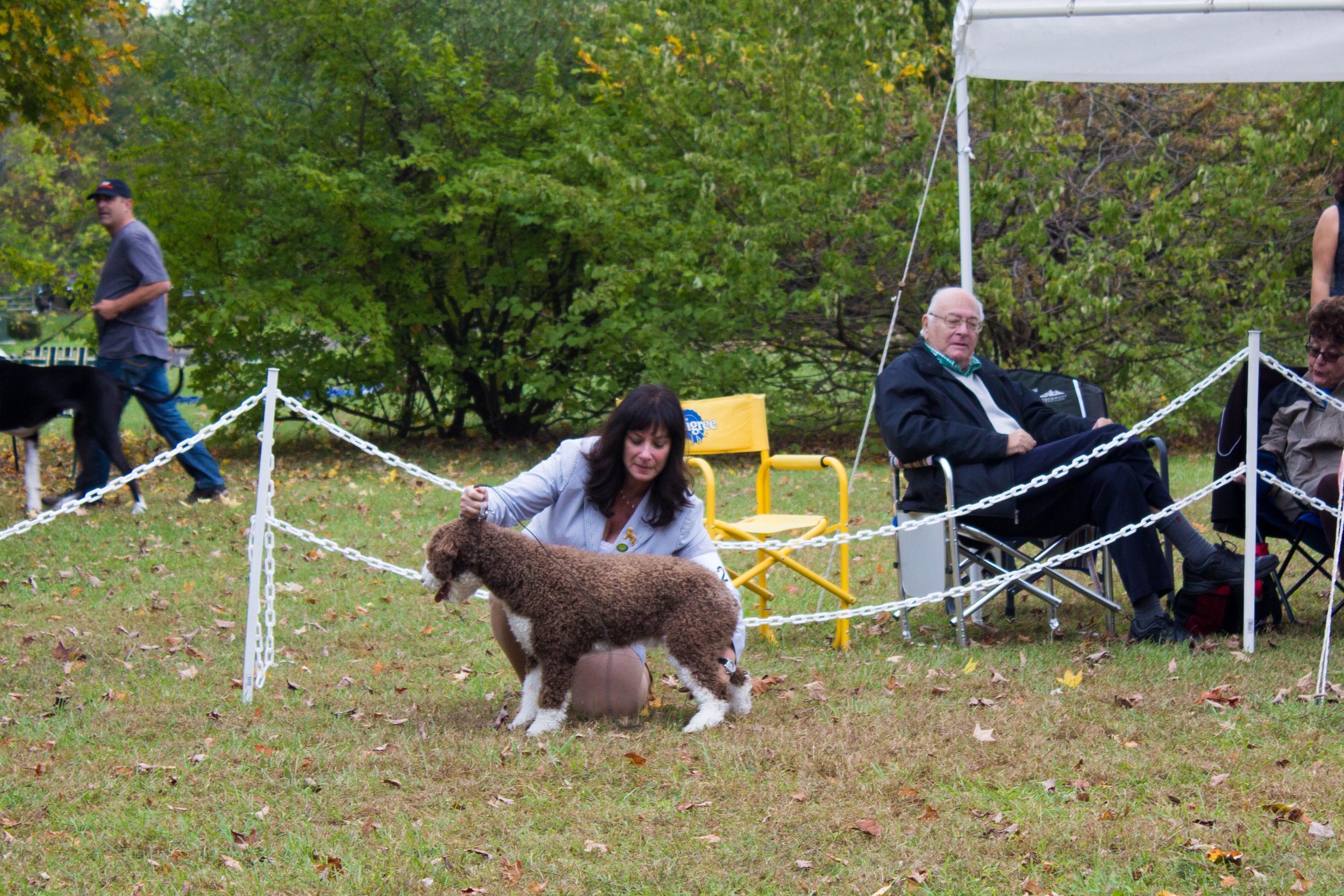 20131012 - DogShow-47.jpg