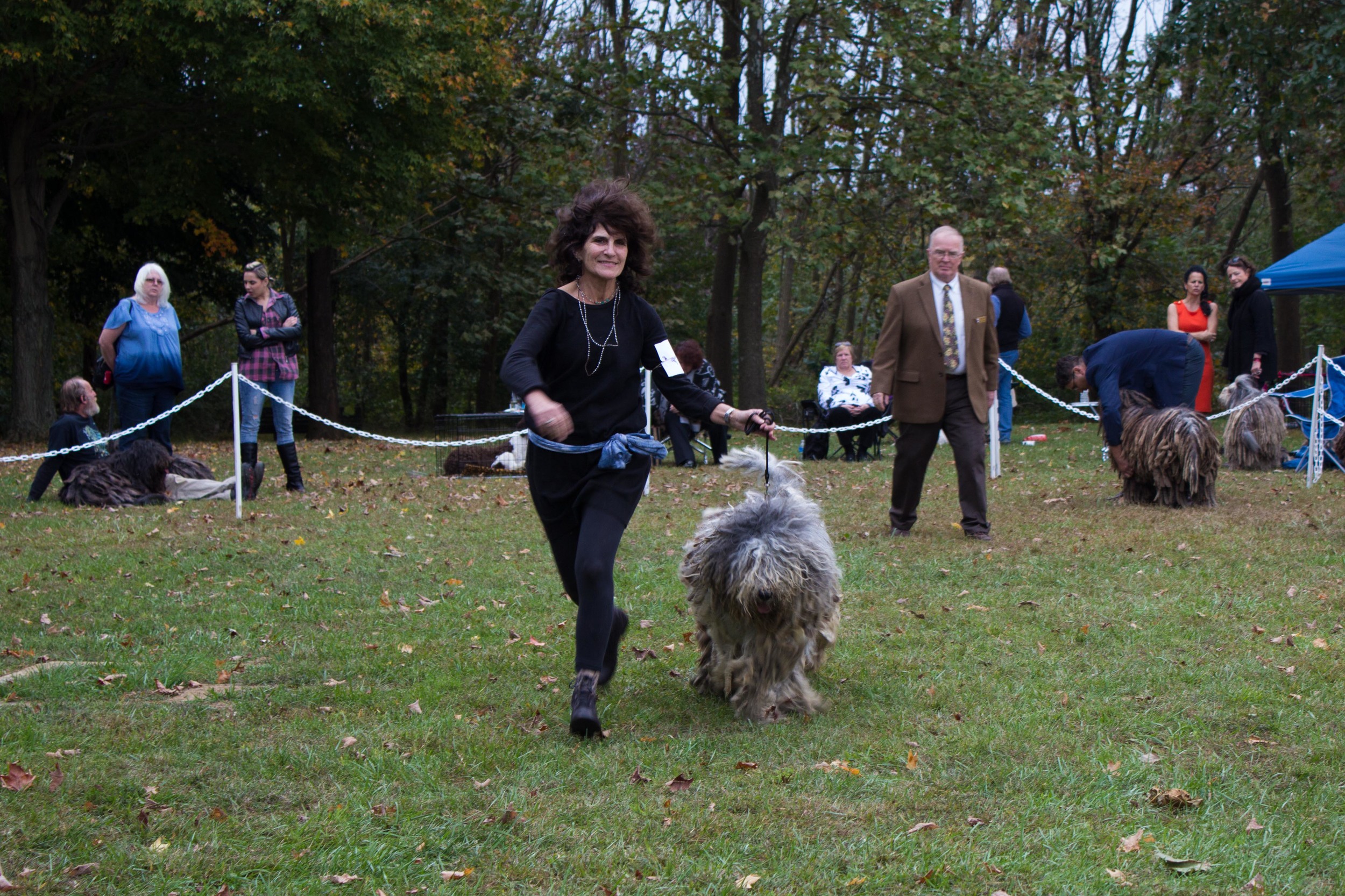 20131012 - DogShow-59.jpg