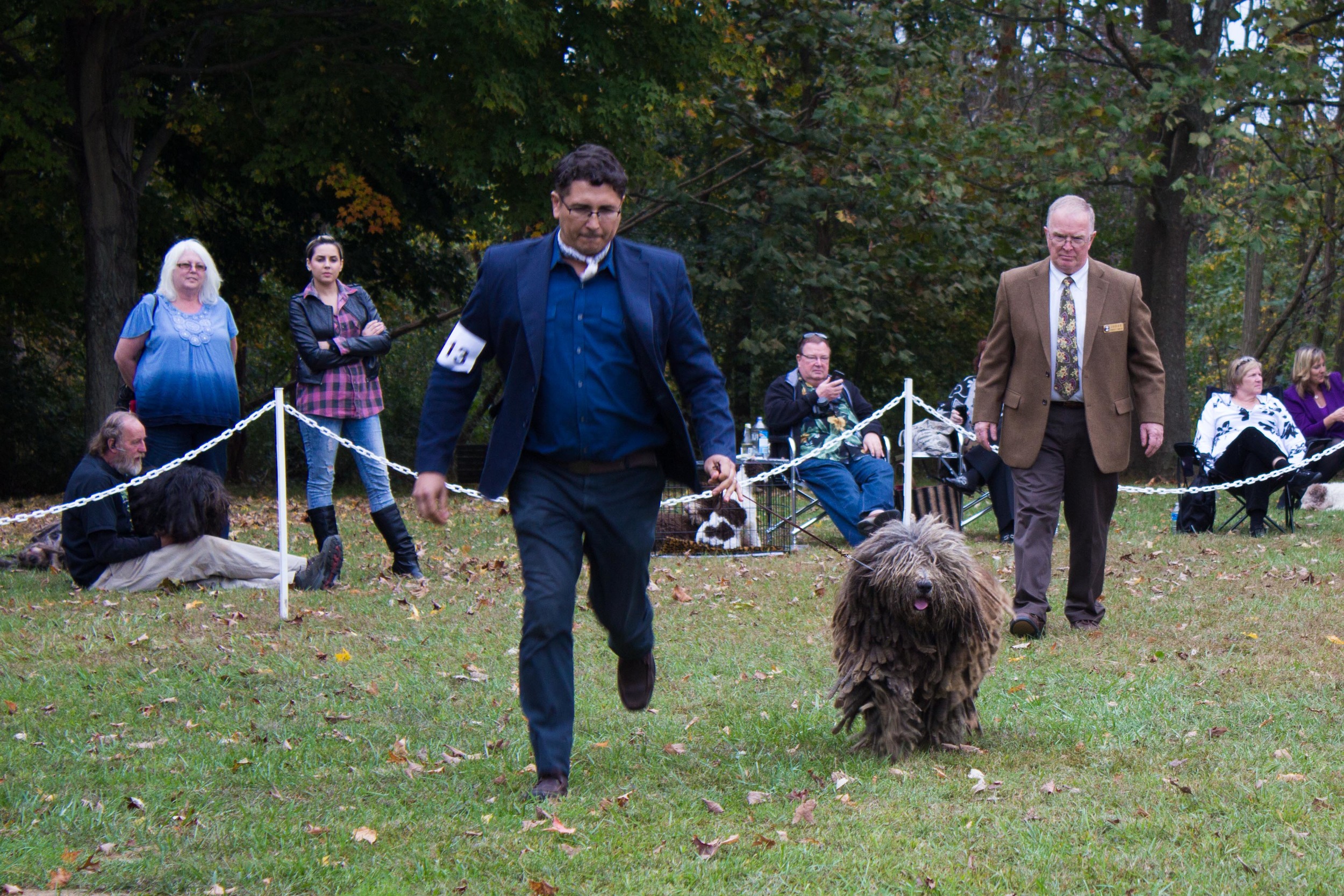 20131012 - DogShow-61.jpg