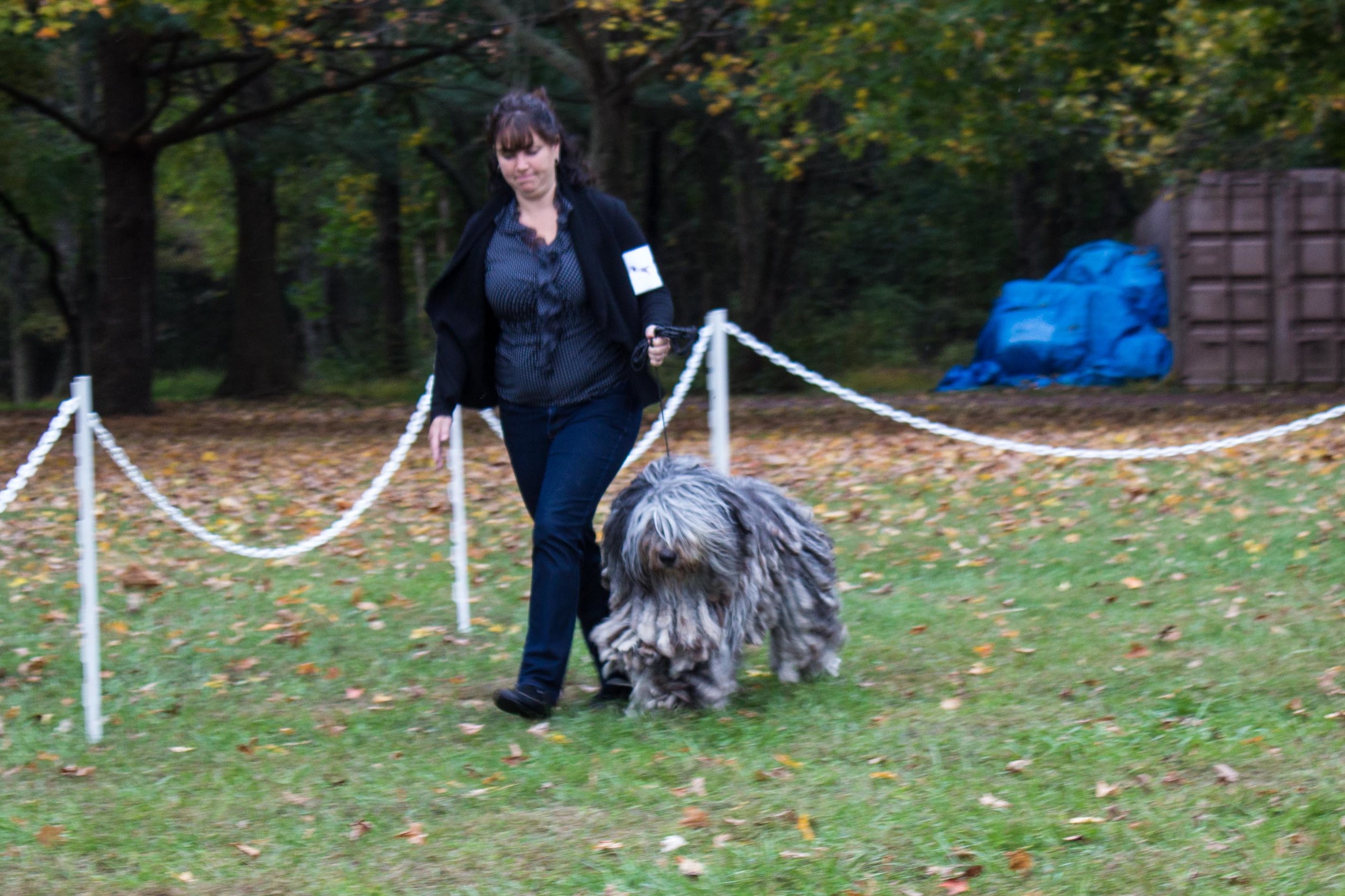 20131012 - DogShow-65.jpg