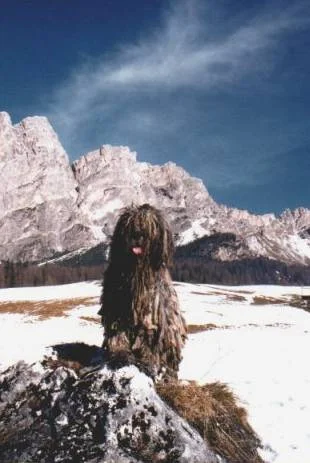 BIRIBISSI