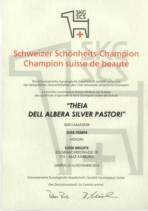 Theia_Urkunde_CH_Champion(1).jpg