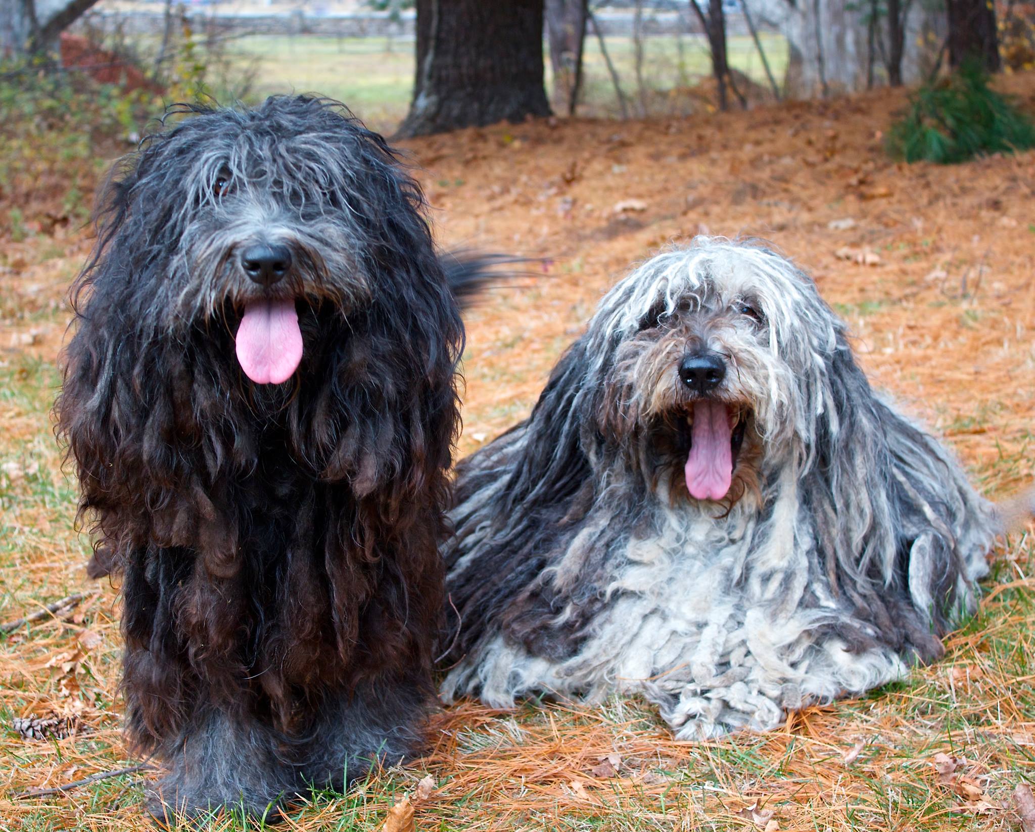 Artemis & Fidelio