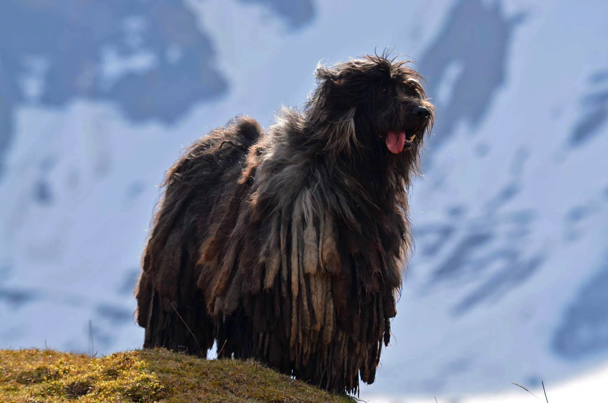 Lumio del Montevergine