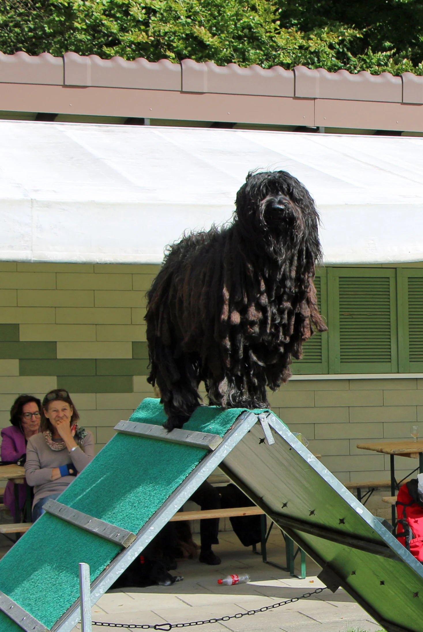 IMG_6634 Kopie.jpg