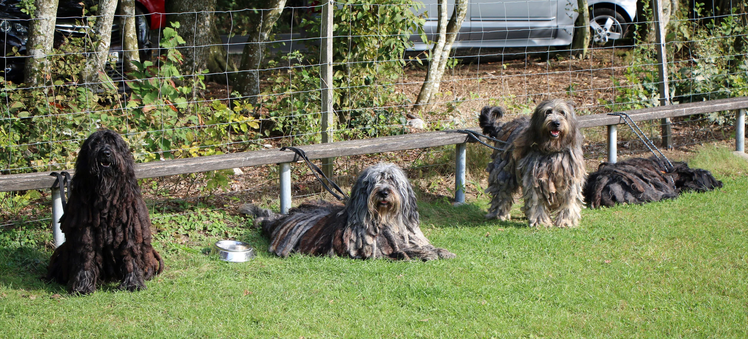 IMG_6759 Kopie.jpg