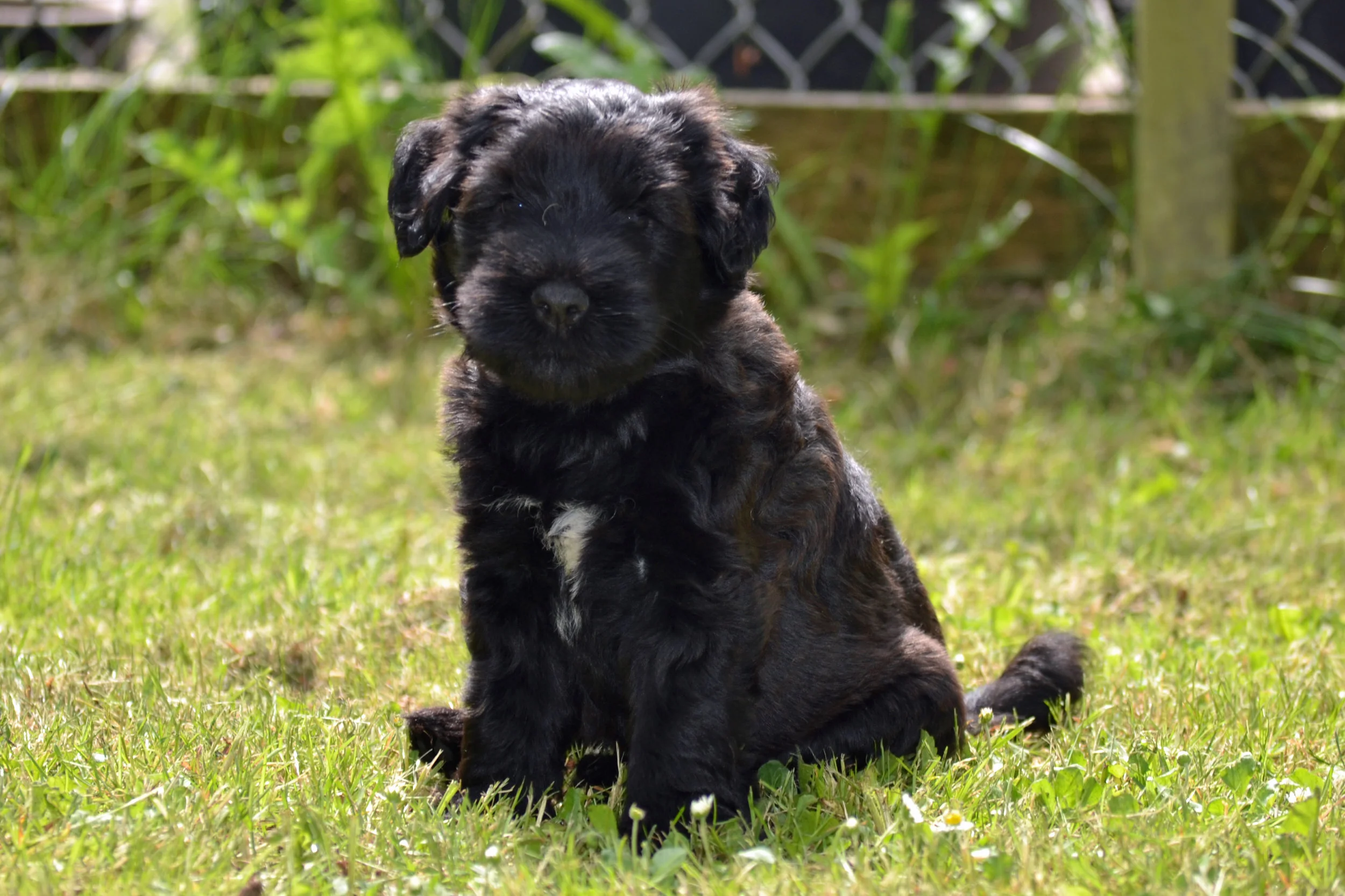 DSC_0023 Kopie.jpg