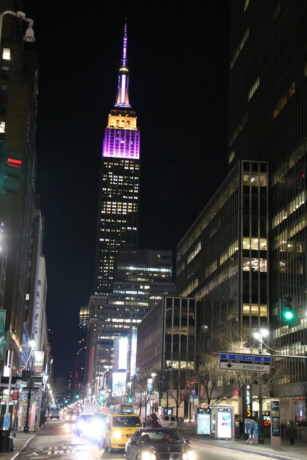  Empire State Building in colors of Westminster Dog Show 