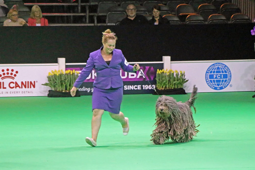 Benelux Show: Whope in the ring of honor