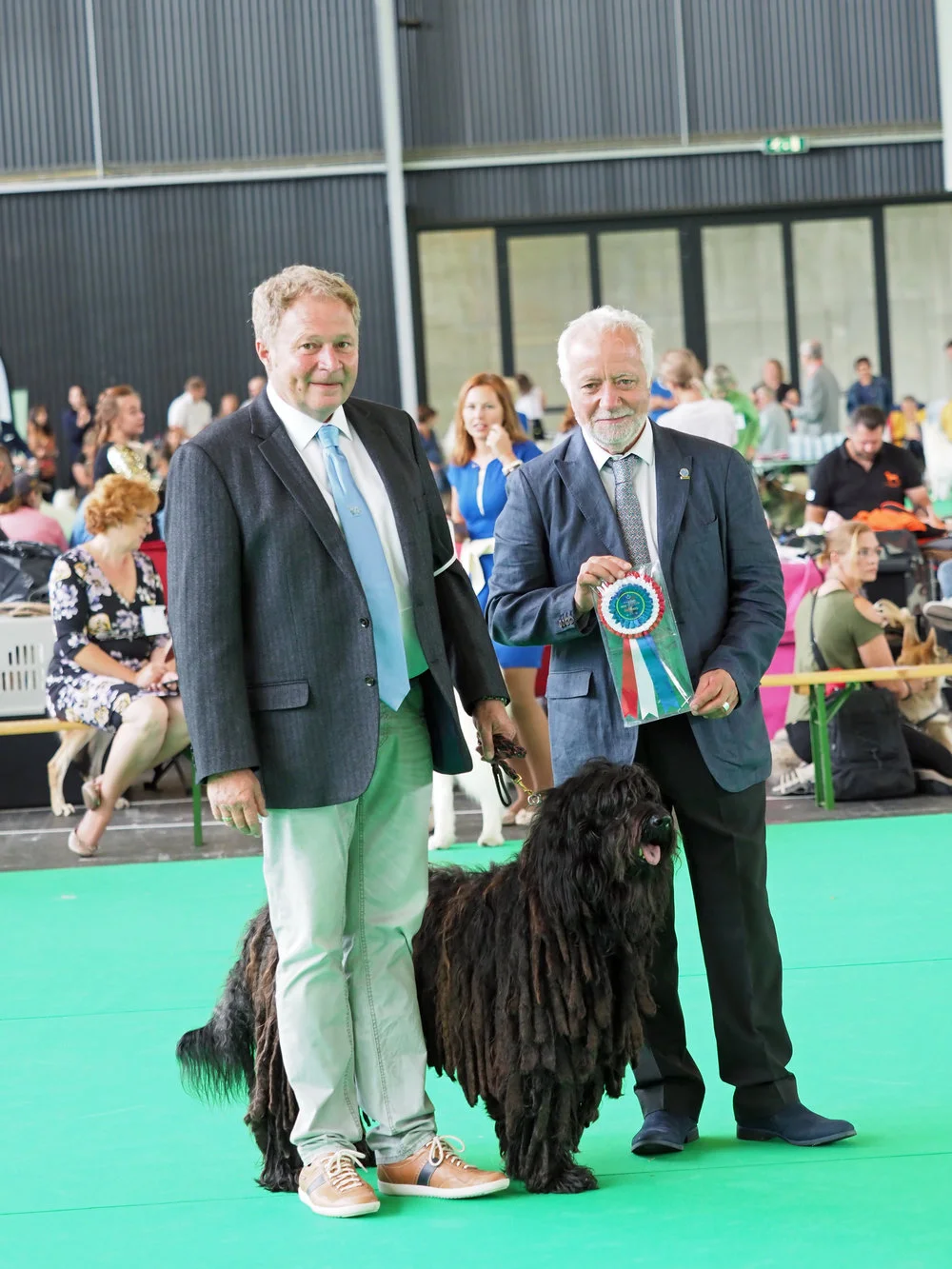 Lieto Del Montevergine: Benelux Show - Best Veteran