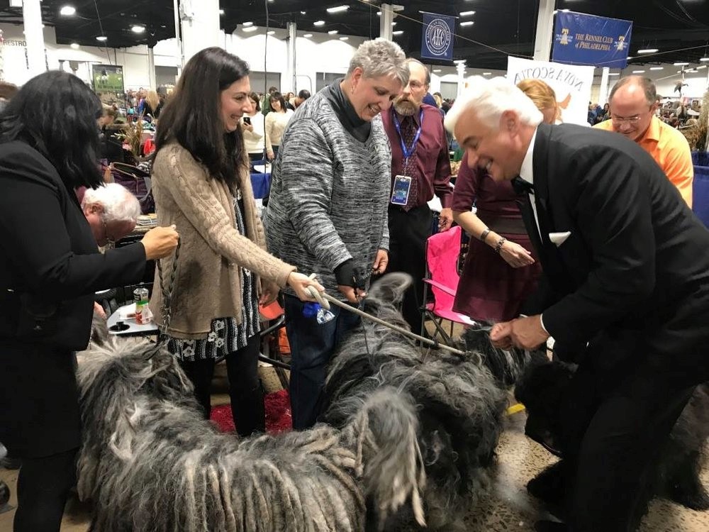  Mr. O'Hurley (actor) loves our dogs 