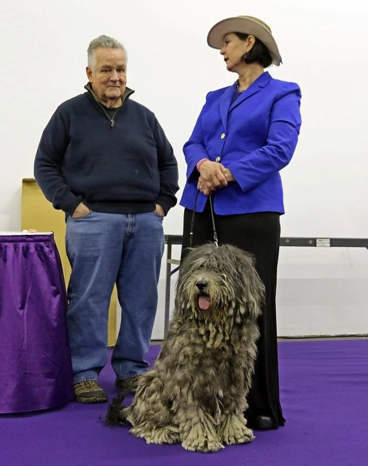 Westminster 2.jpg