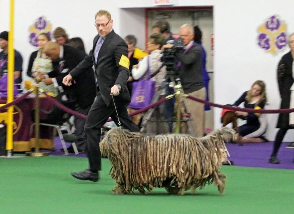 Westminster 5.jpg
