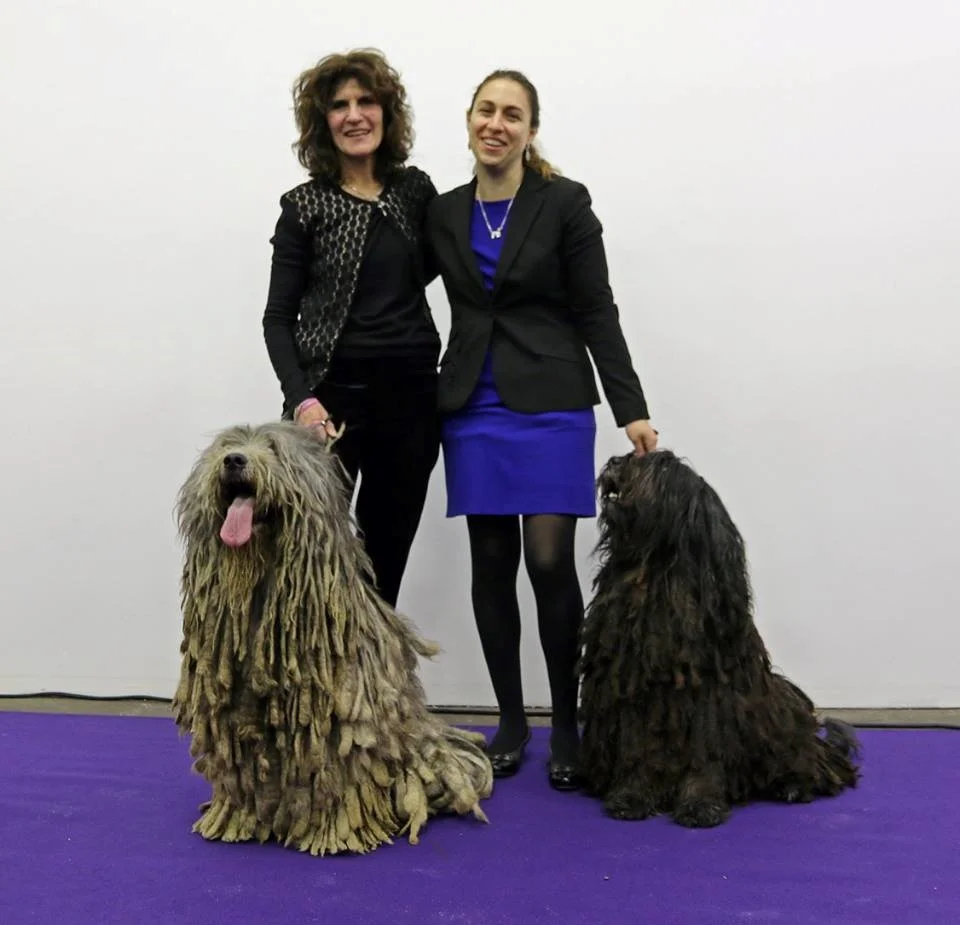 Westminster 8.jpg