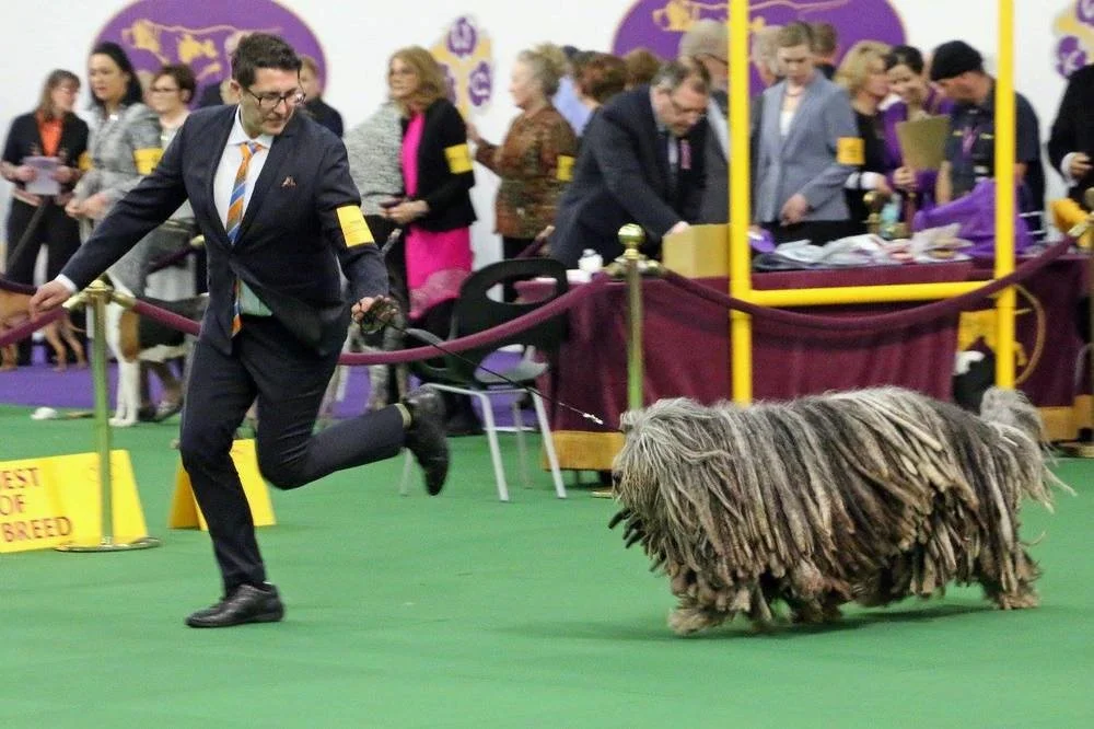Westminster 15.jpg