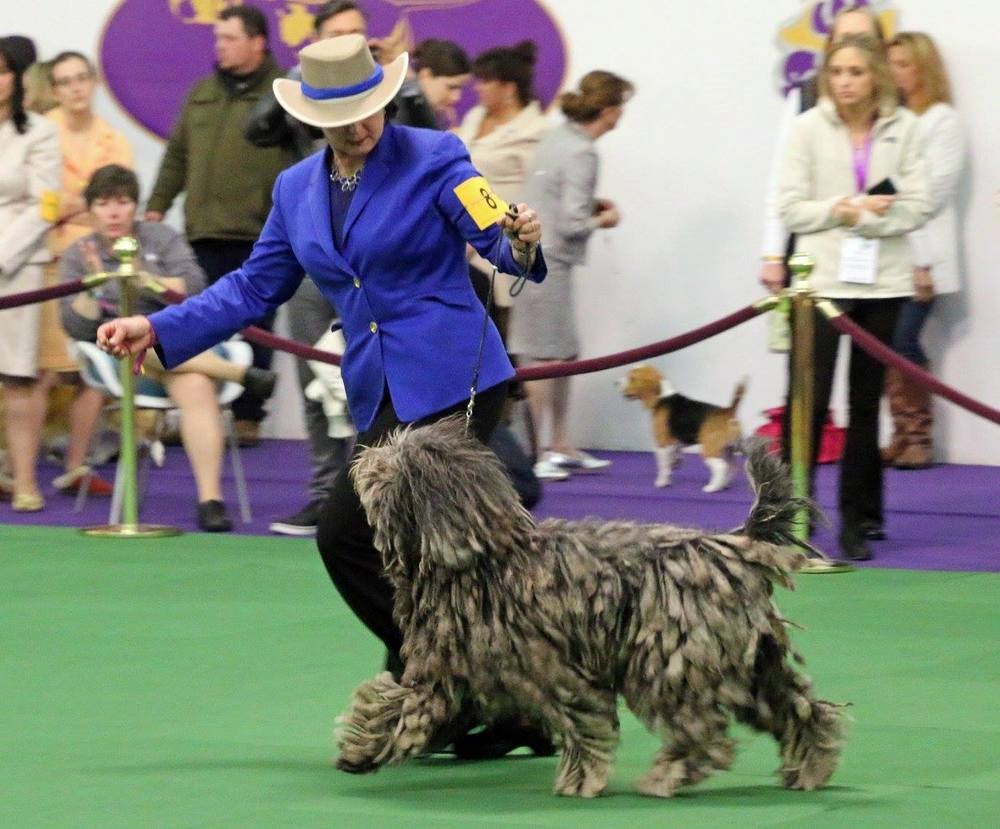 Westminster 17.jpg