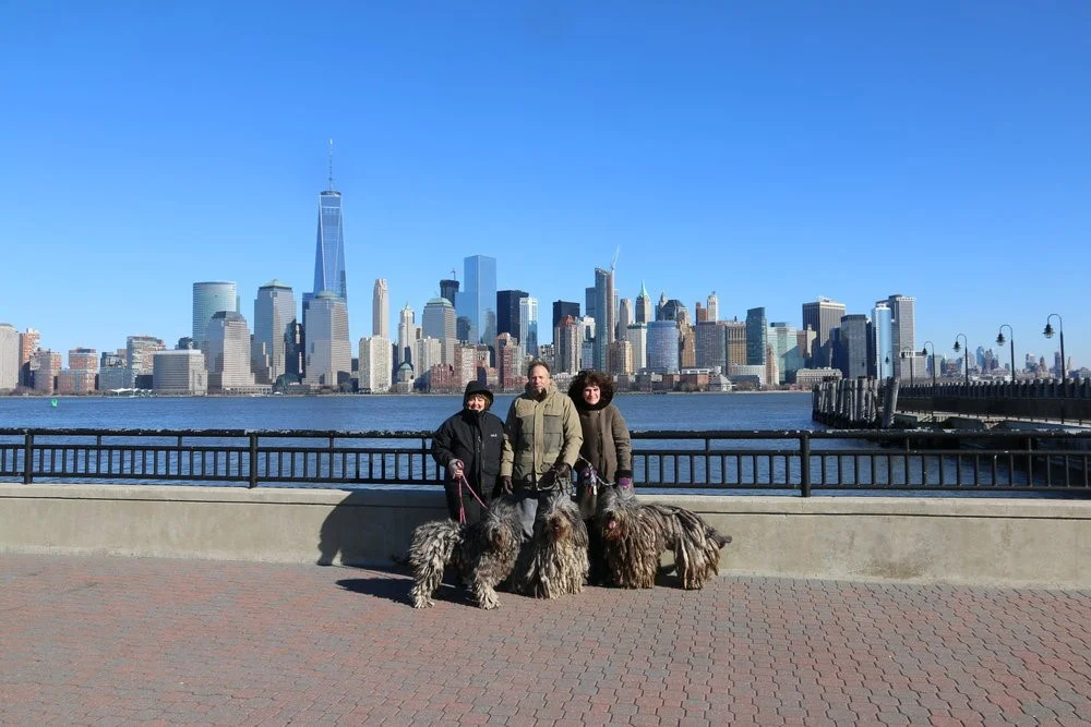  Welcome to New York City and Westminster 