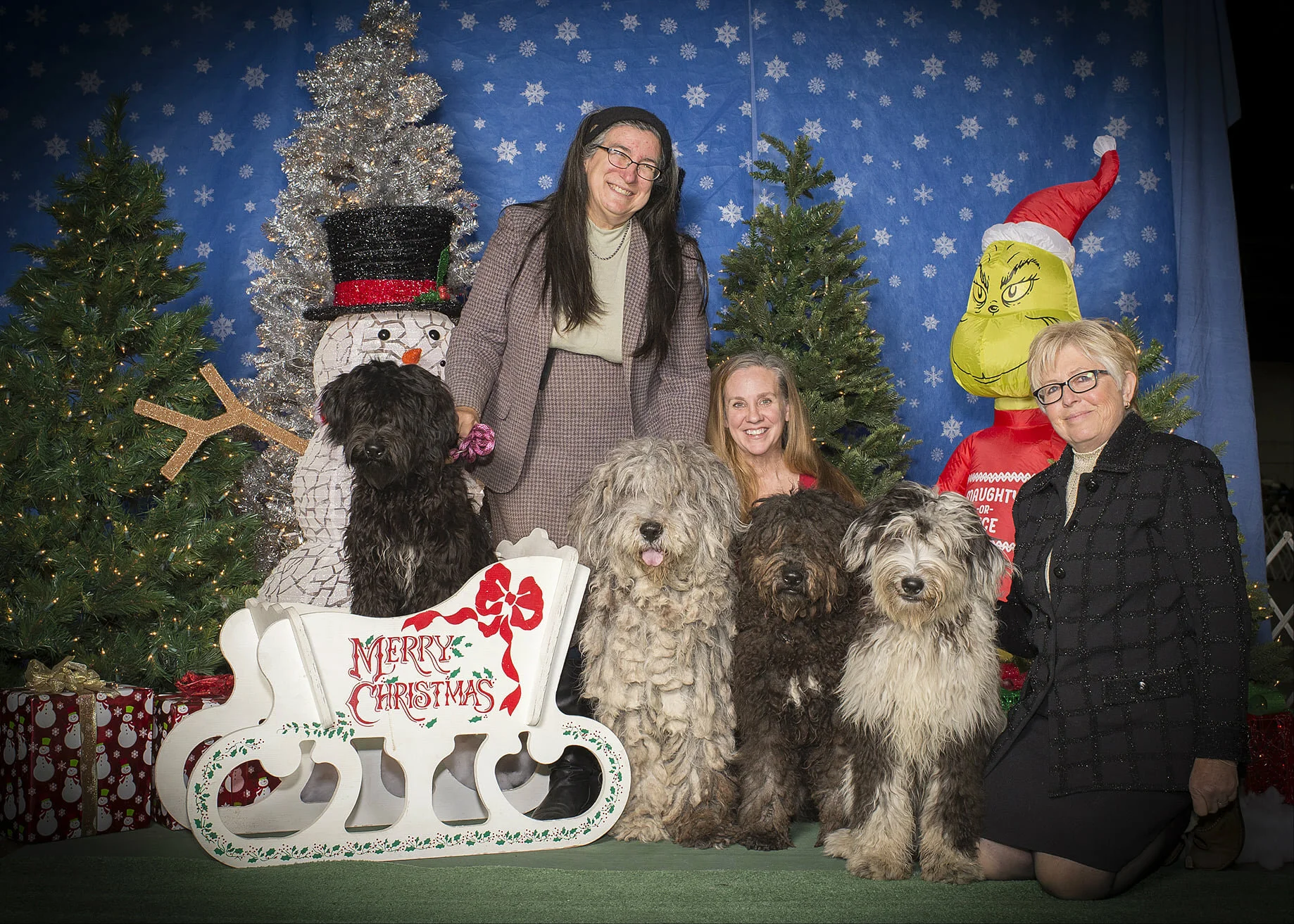 christmas dog show