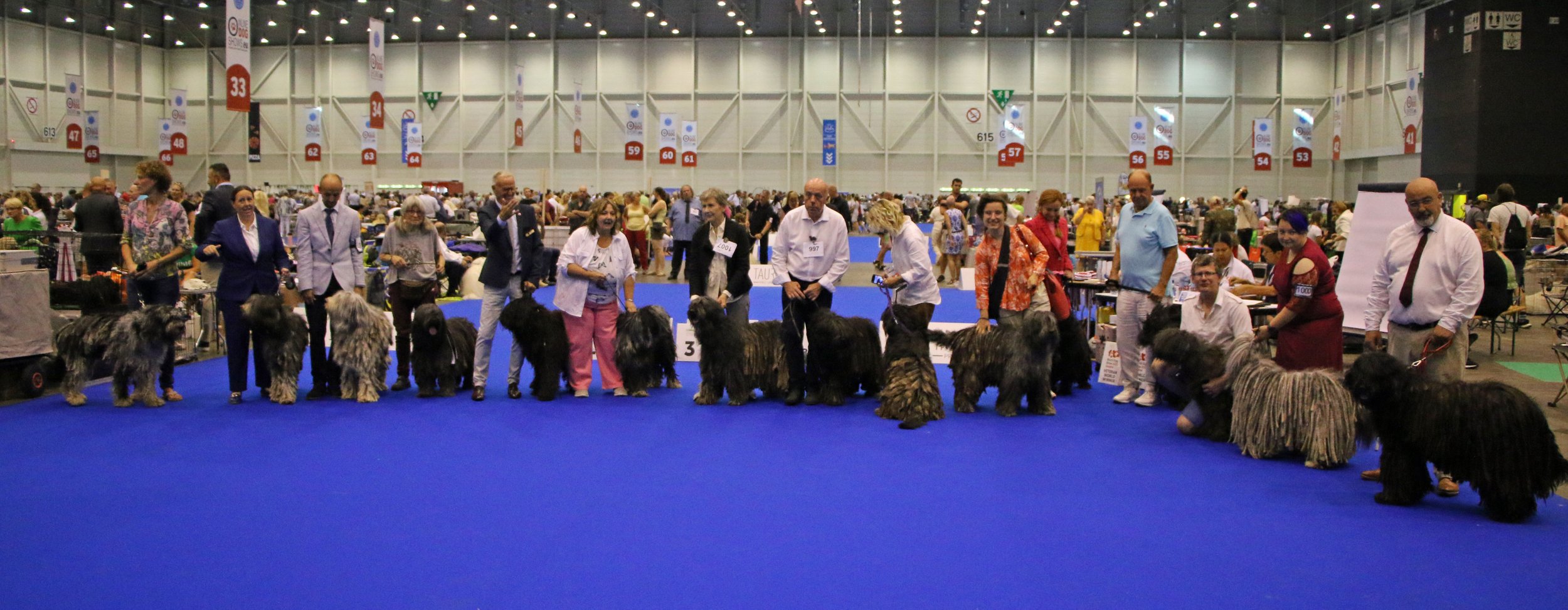 All dogs and owners at WDS 2023