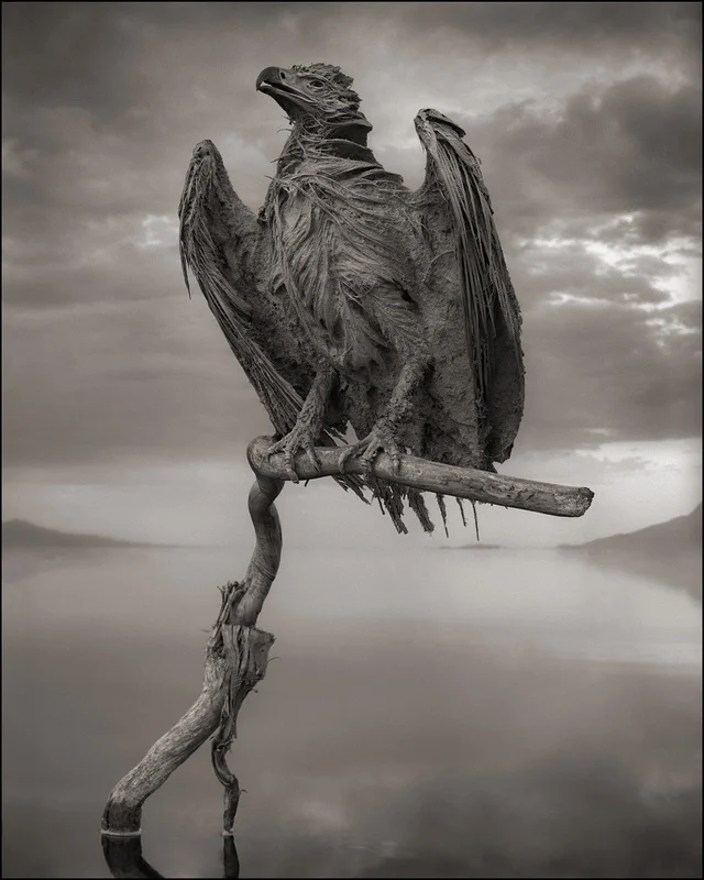 lake-natron-stone-animal.jpg
