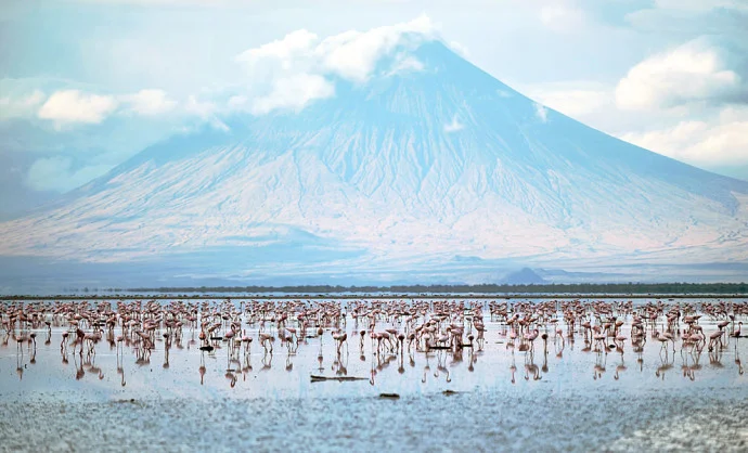 flamingos-lake-natron-breeding-ground.jpg