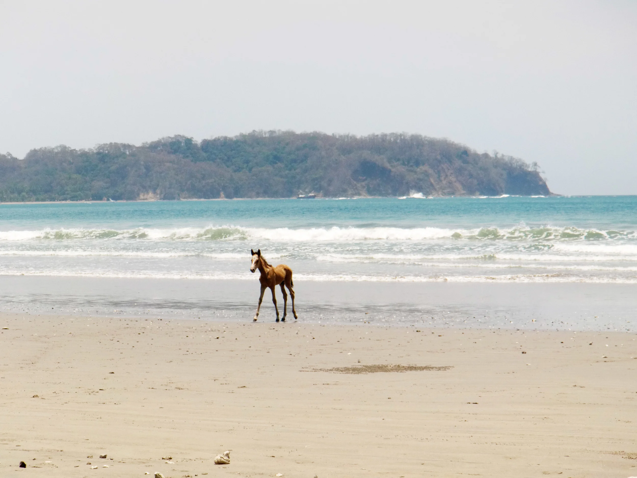 Playa Samara, Costa Rica ©Ty Govaars