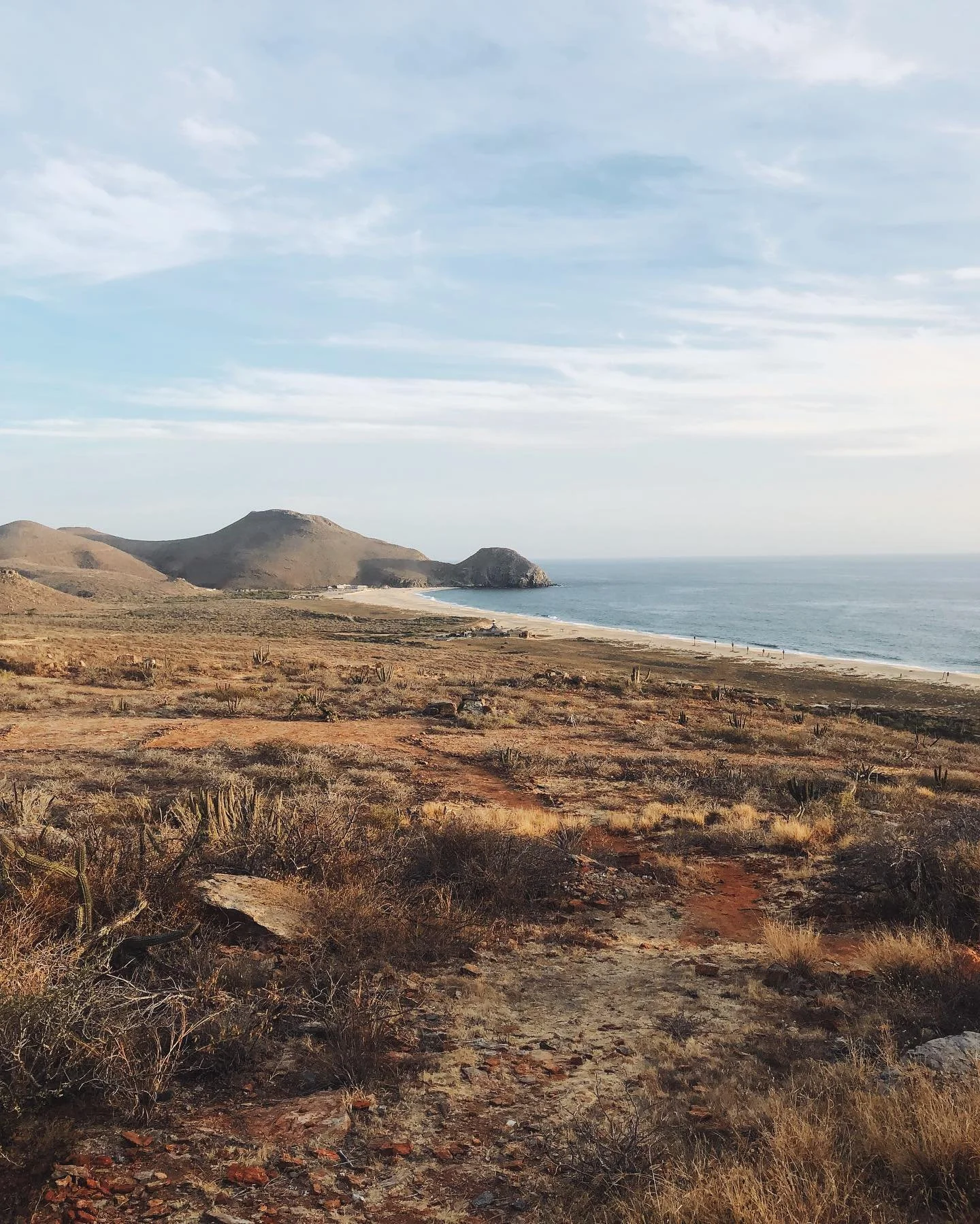 This view, with a hibiscus margarita in hand 🍹

Get our full digital travel guide to Todos Santos on Found Elsewhere this week ✨

Things to do in Baja Sur | todos santos travel | todos santos day trip | Baja California Sur | travel advisor | travel 