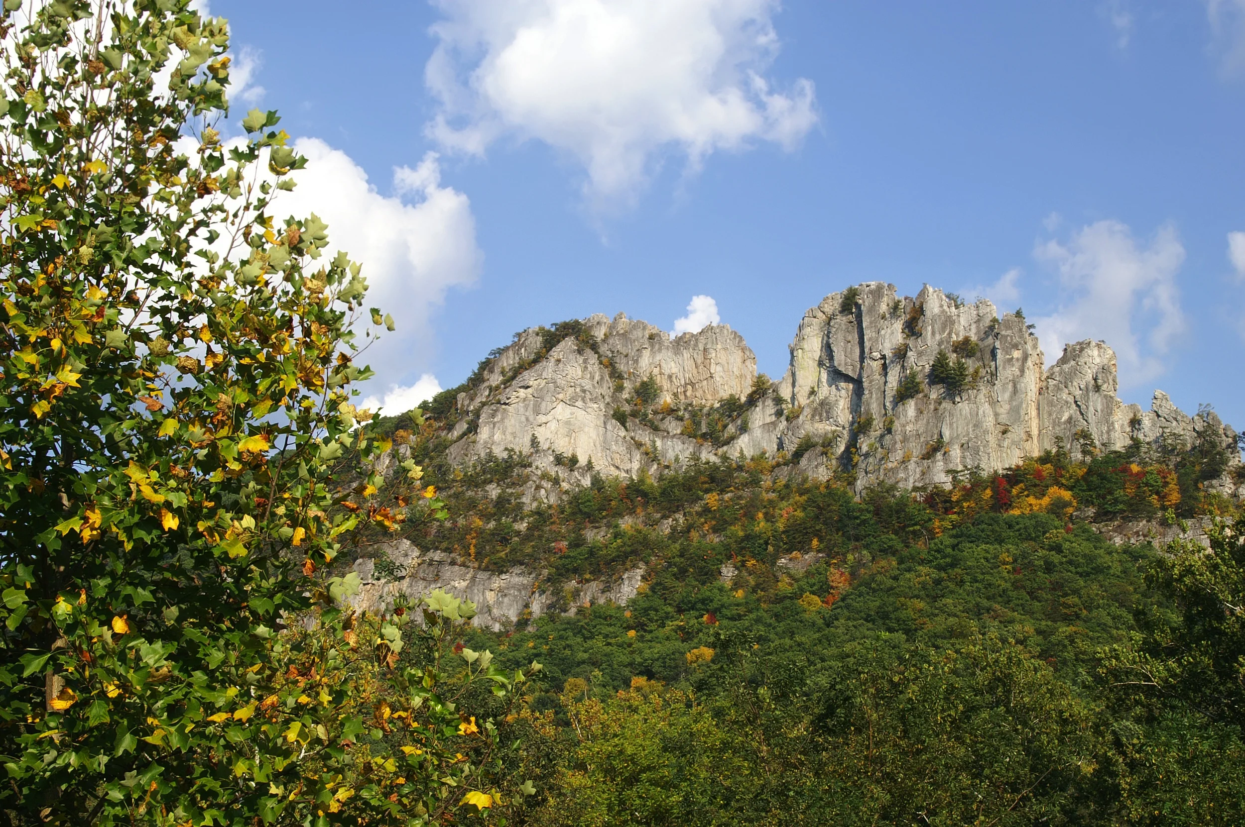 2013 01 09 seneca rock in early fall copy space.jpg