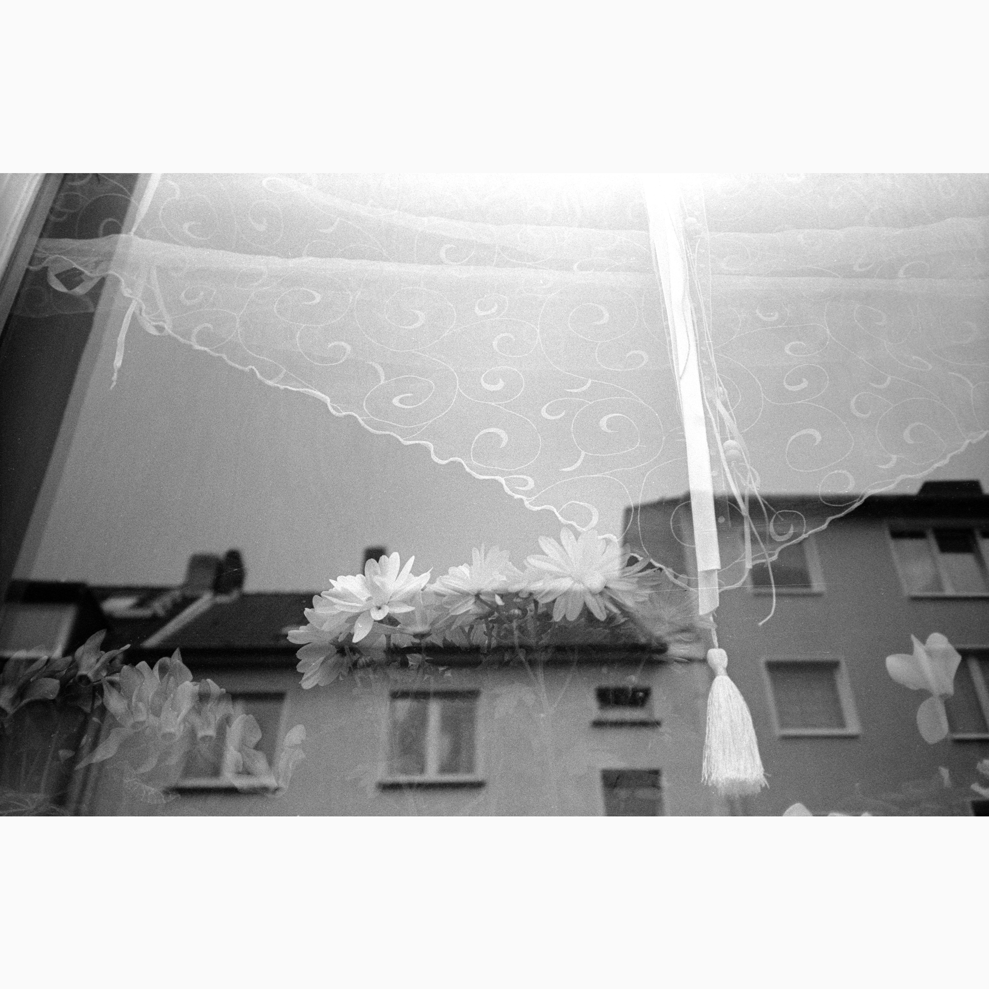 © Tabea Borchardt - https://www.instagram.com/tobepictures/