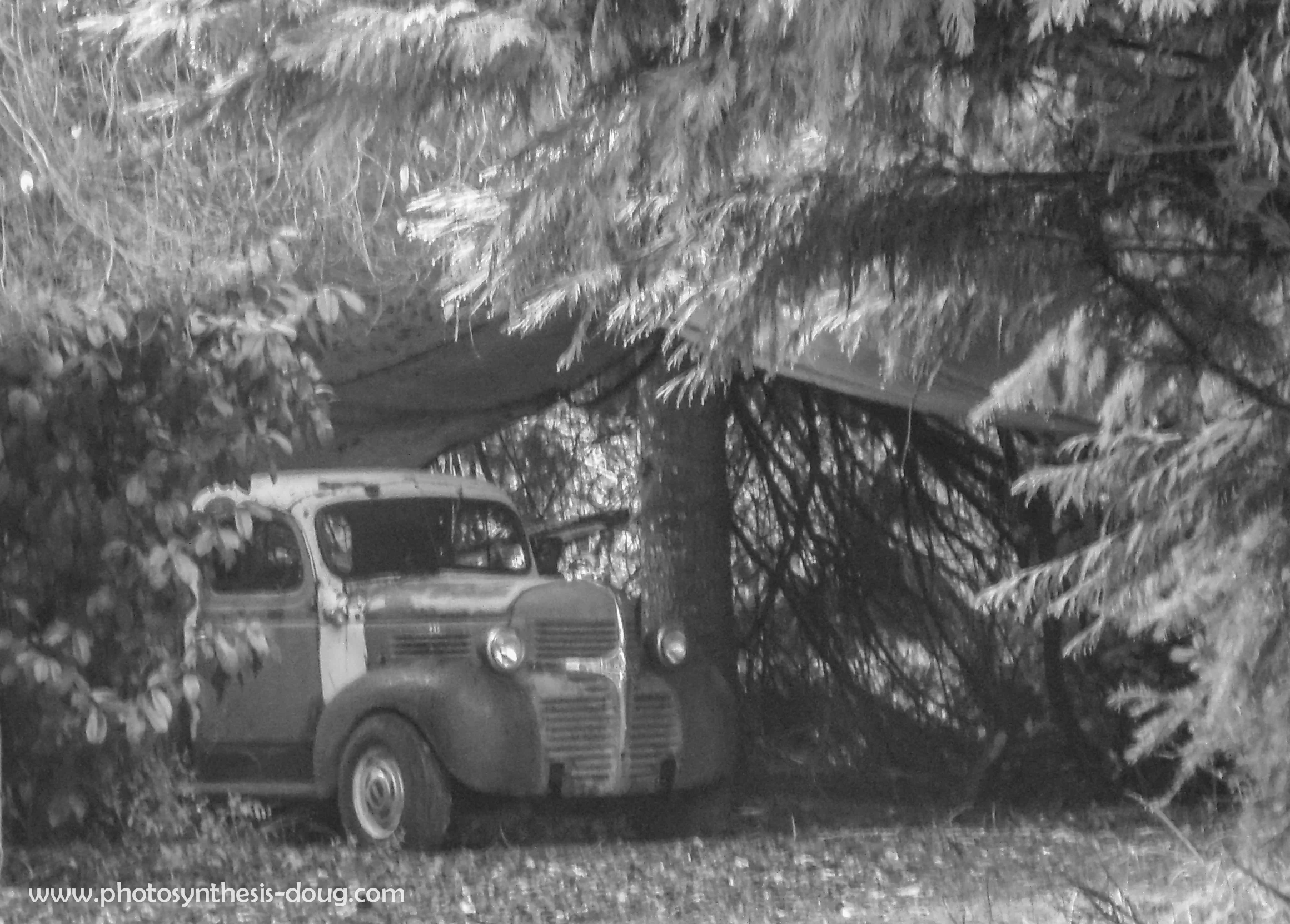 Creswell, Oregon, 2010