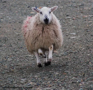 Outer Hebrides, Scotland, 2008