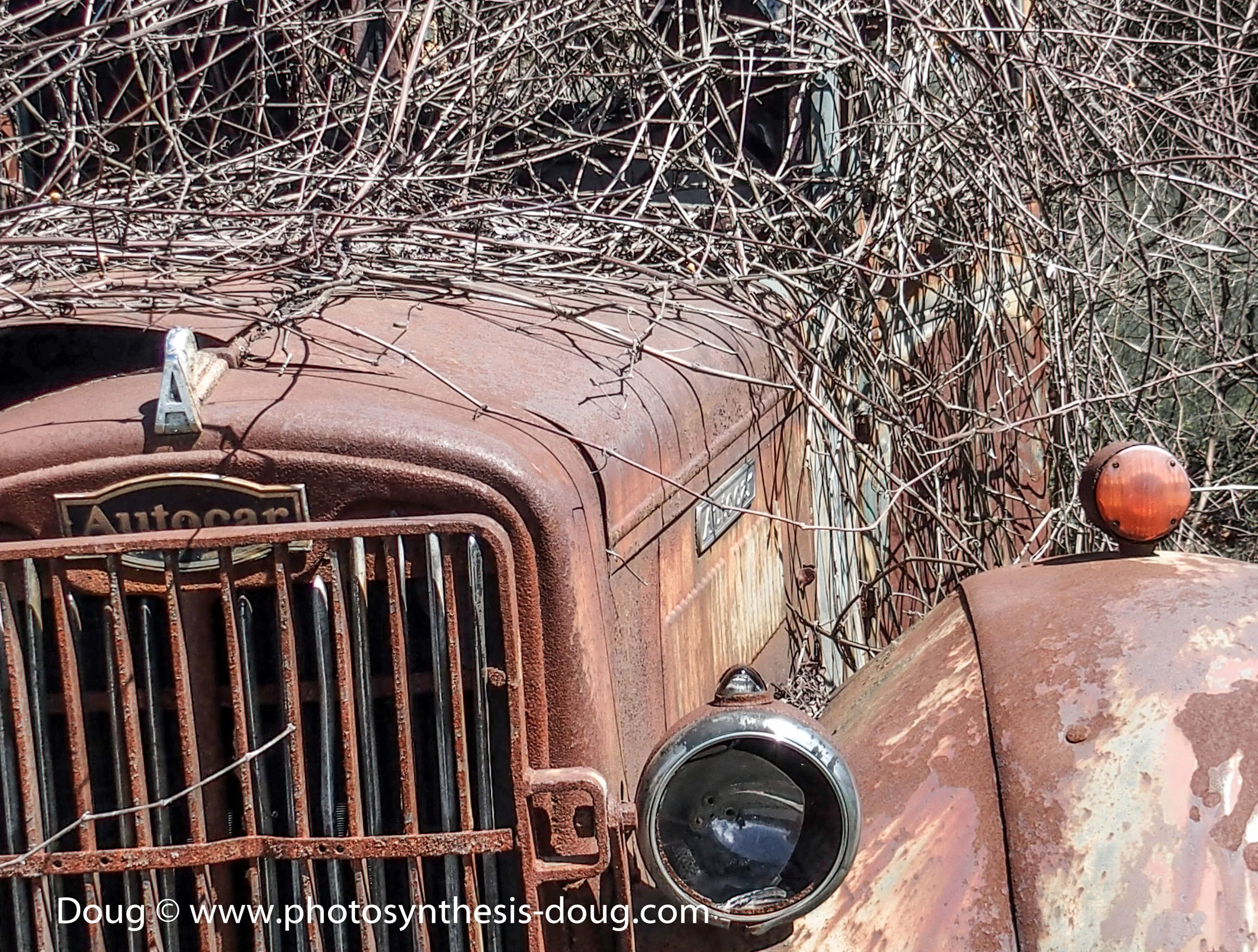 Photo by Doug Coulson