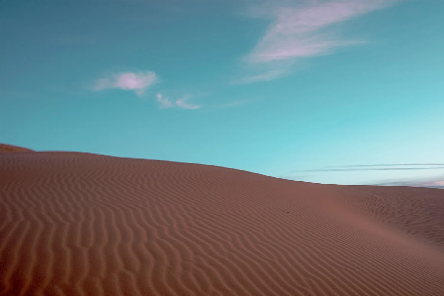 Coral Pink Sand Dunes State Park, UT (2018)