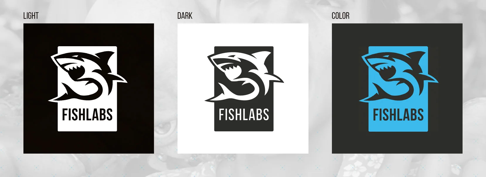 BlogPost_DSFL_Logos.jpg