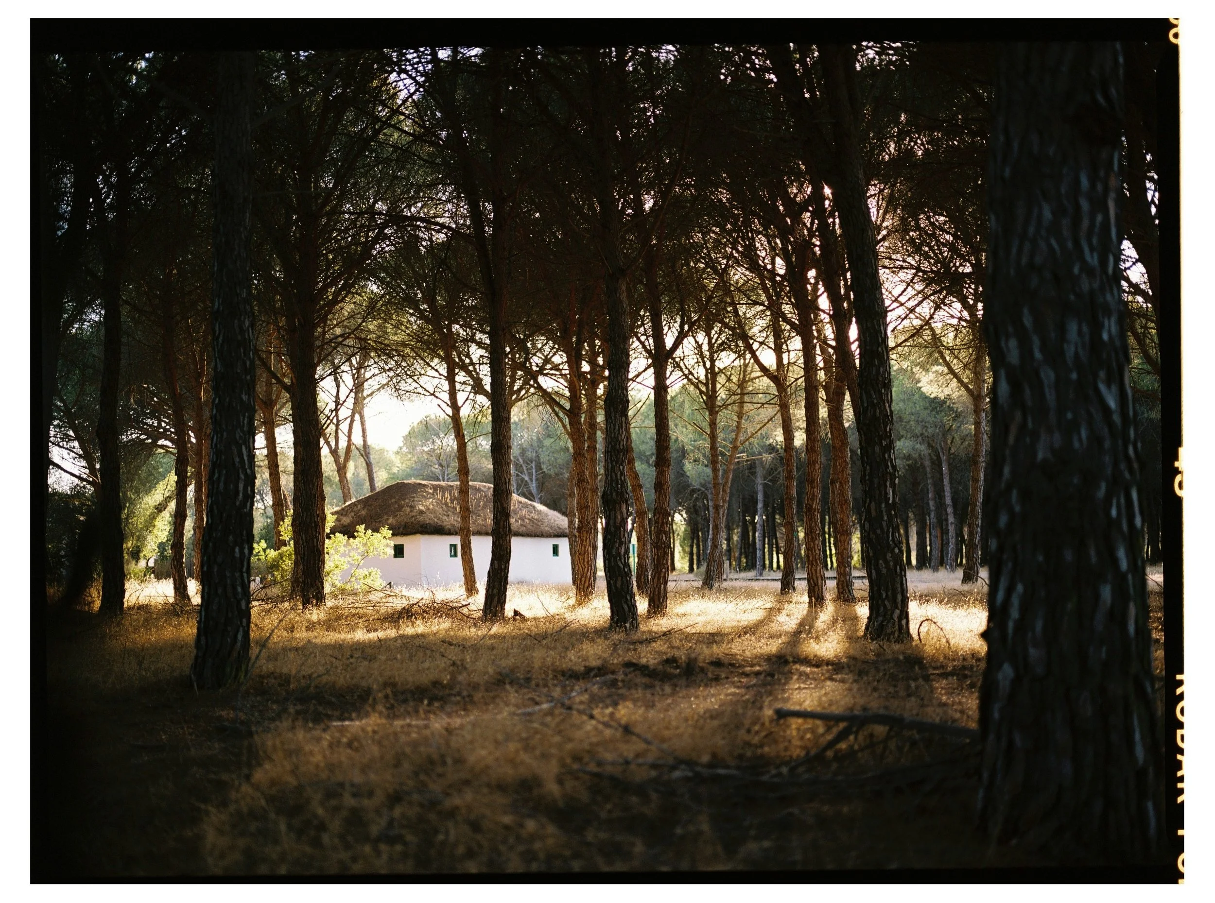 24092026-El-Rocío-Huelva-Travel-Spain-Kodak-Portra-400-Victor-Stonem-5.jpg
