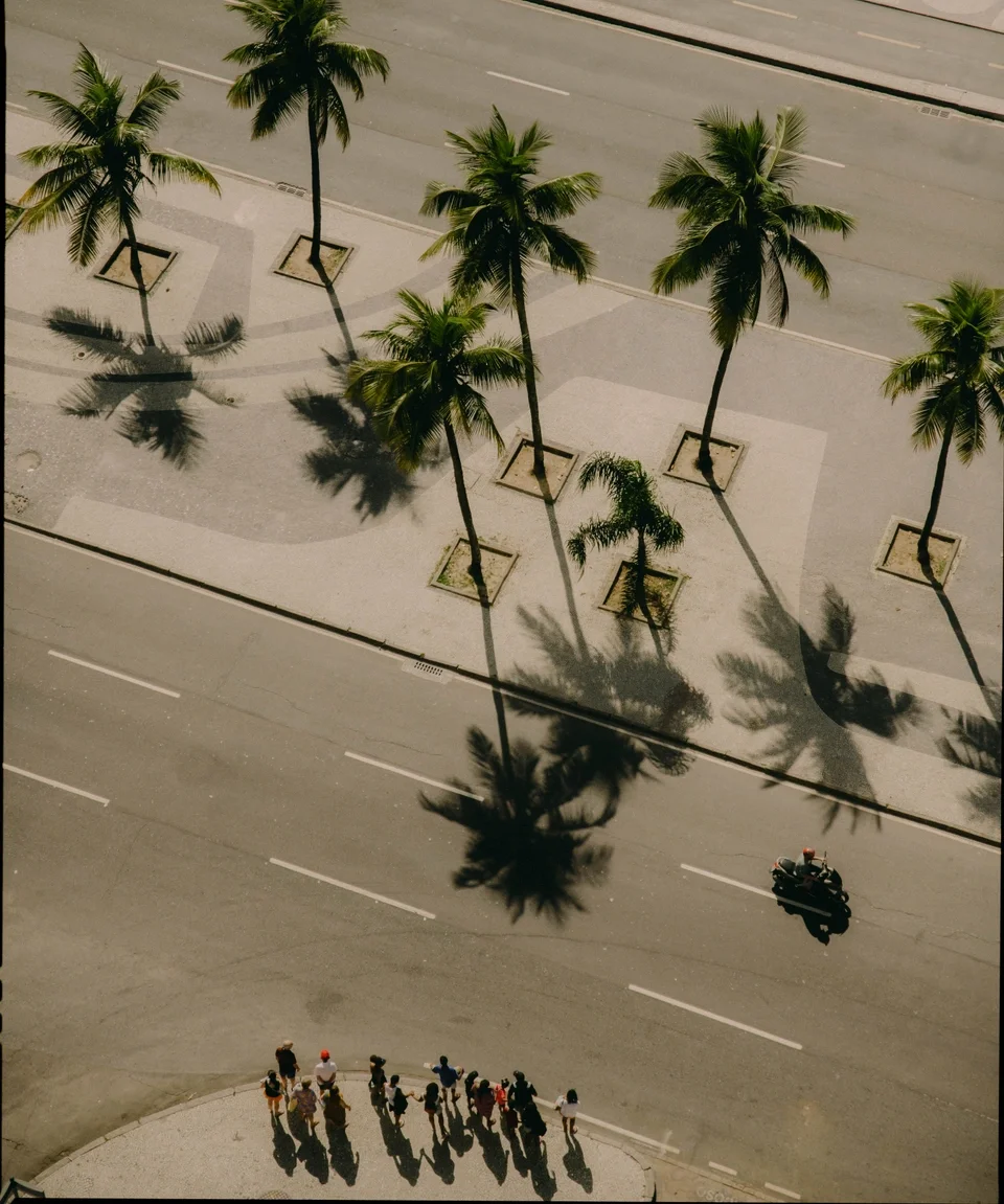 From a high-angle view, a street featuring a row of tall palm trees casting shadows on the sidewalk. There are a group of people standing at the corner of the street, and a motorcycle is riding on the road.
