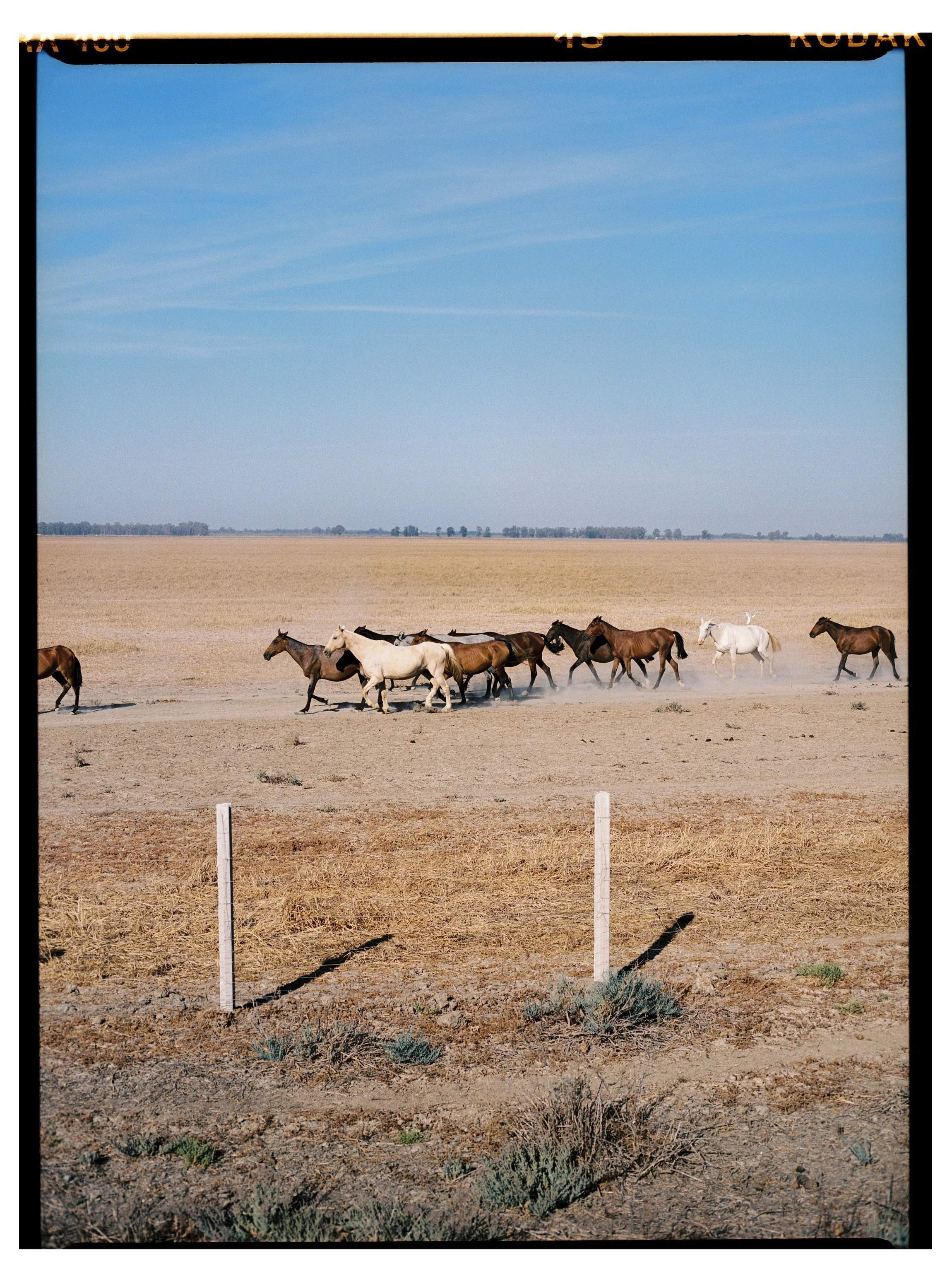 24092026-El-Rocío-Huelva-Travel-Spain-Kodak-Portra-400-Victor-Stonem-06.jpg