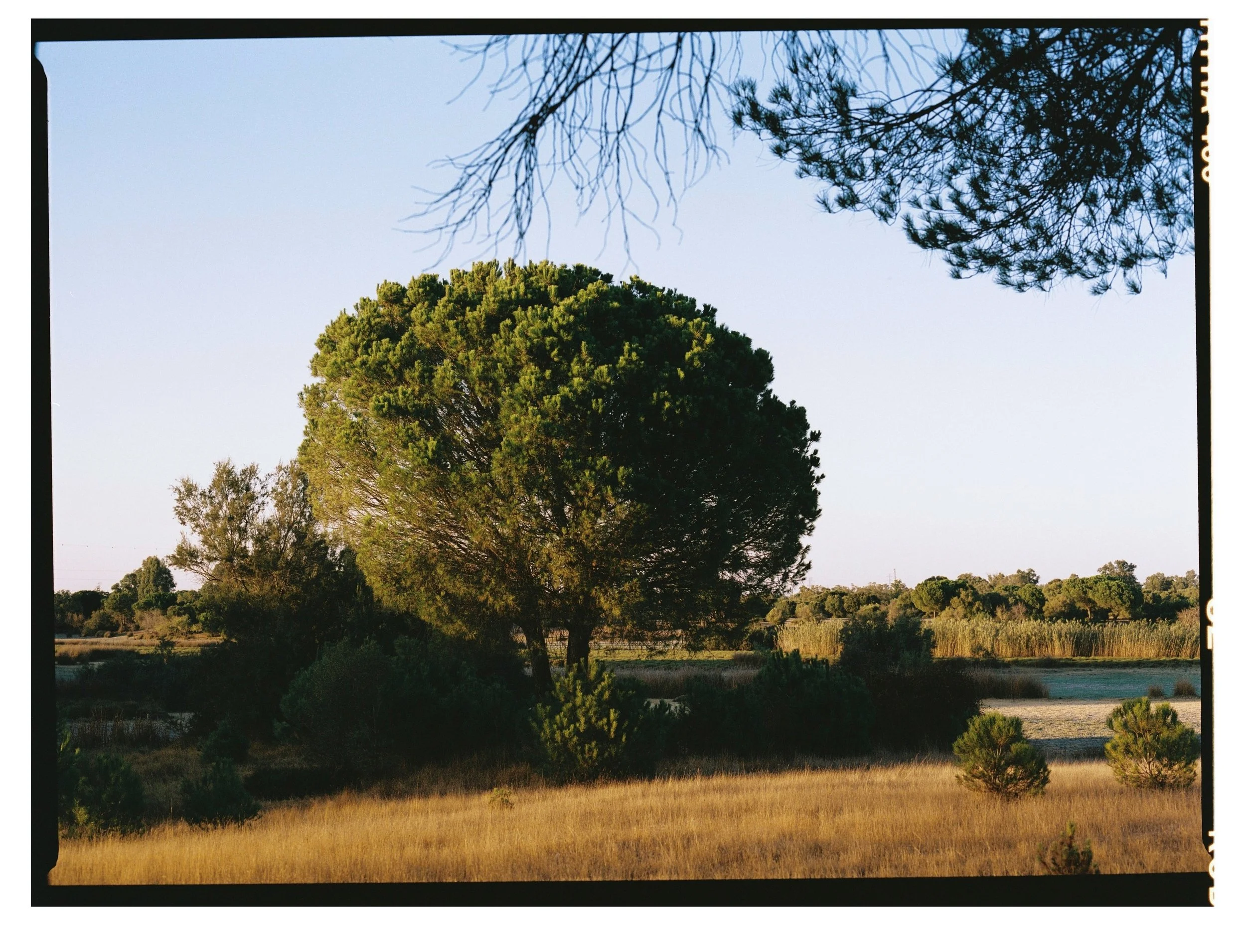 24092026-El-Rocío-Huelva-Travel-Spain-Kodak-Portra-400-Victor-Stonem-12.jpg