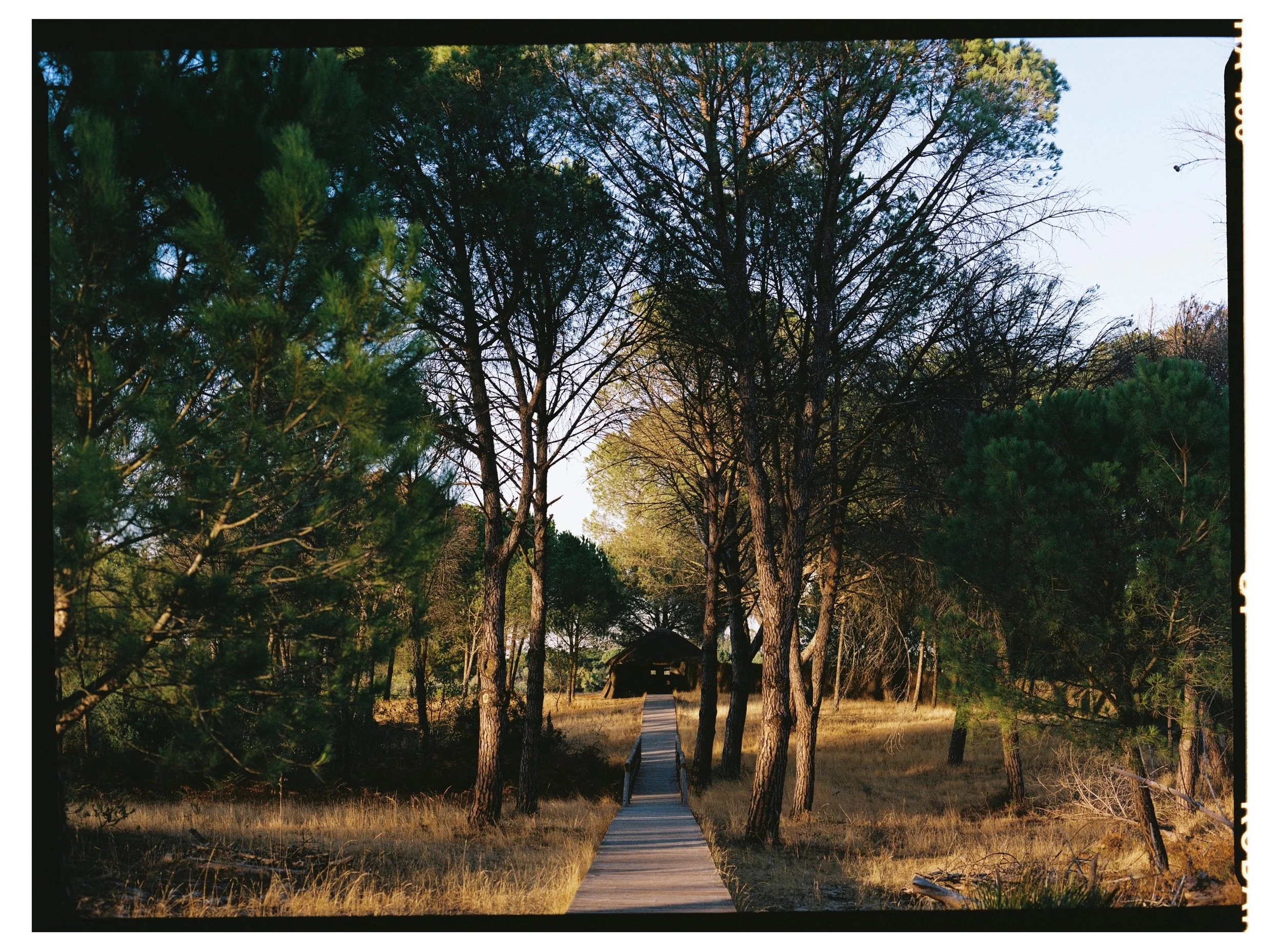 24092026-El-Rocío-Huelva-Travel-Spain-Kodak-Portra-400-Victor-Stonem-11.jpg