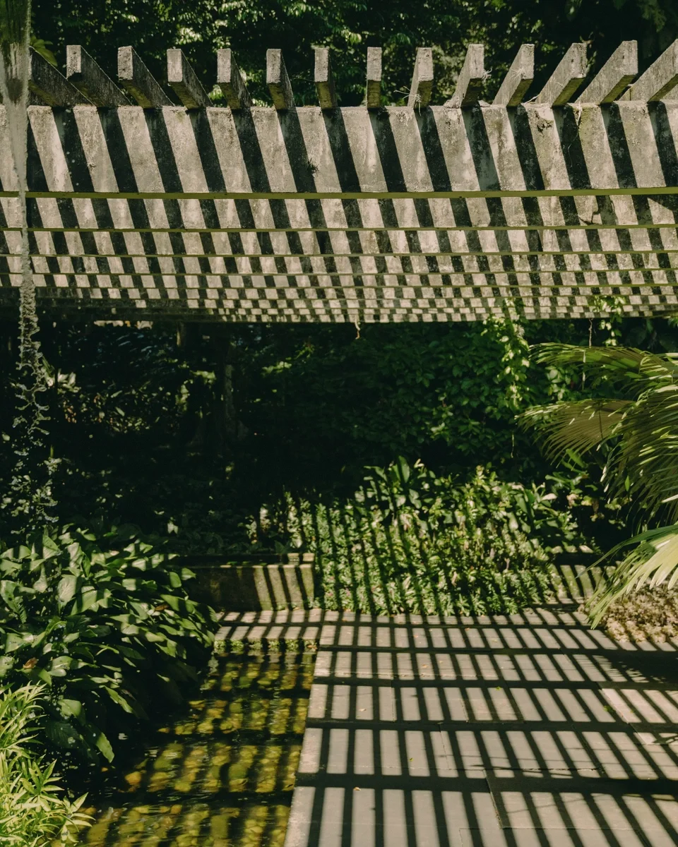 Shadows of a wooden lattice roof cast on a garden pathway and surrounding lush green plants.