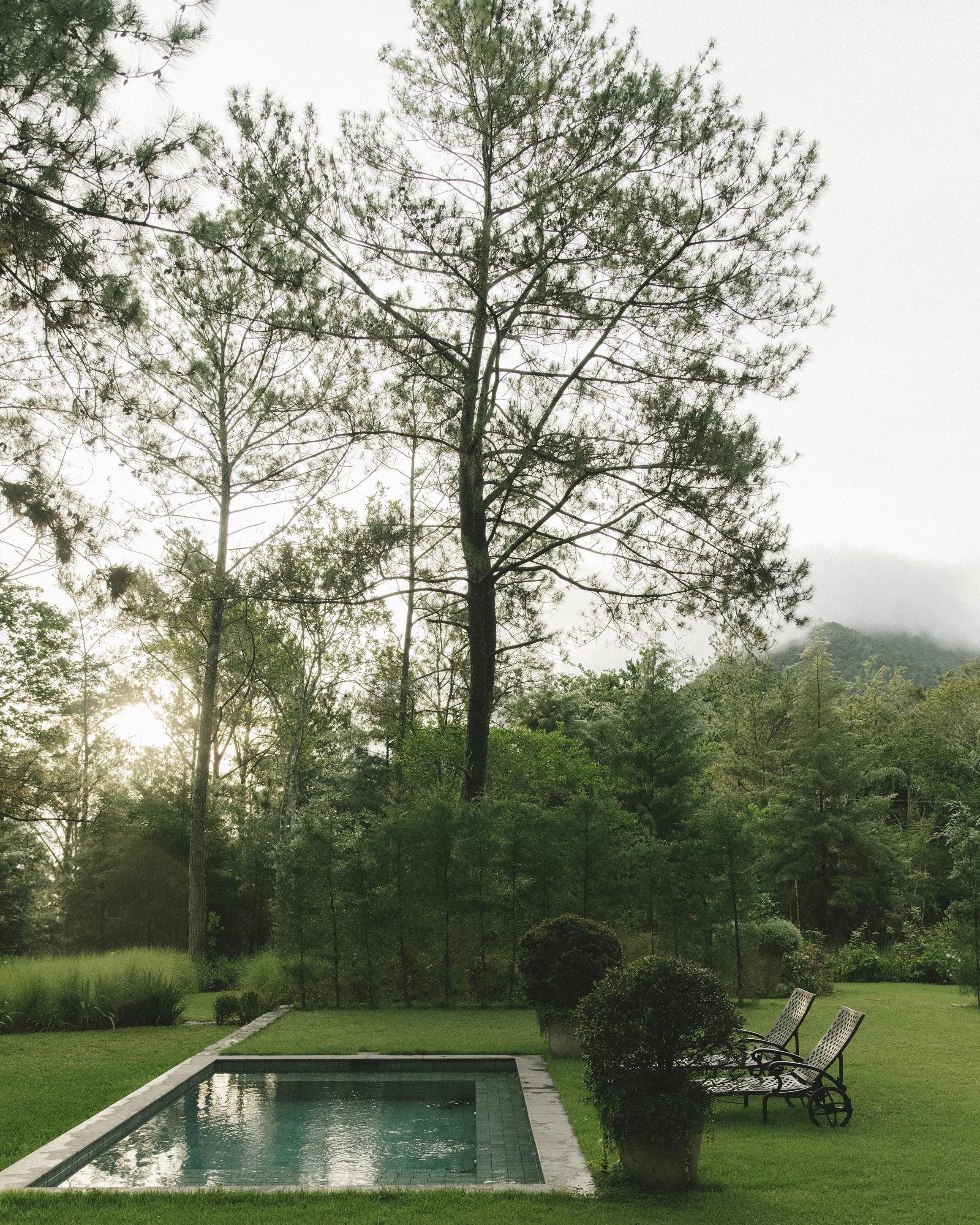 Private Garden by Natalia Franch in Jarabacoa