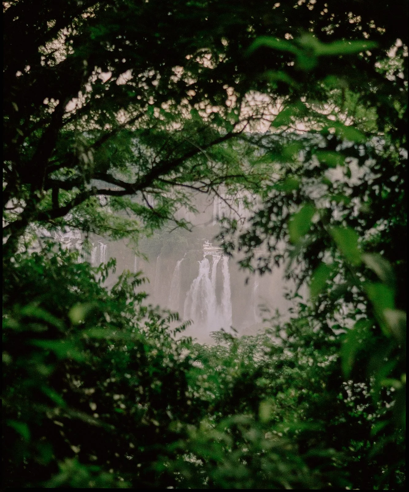 Waterfalls viewed through lush green trees and foliage.